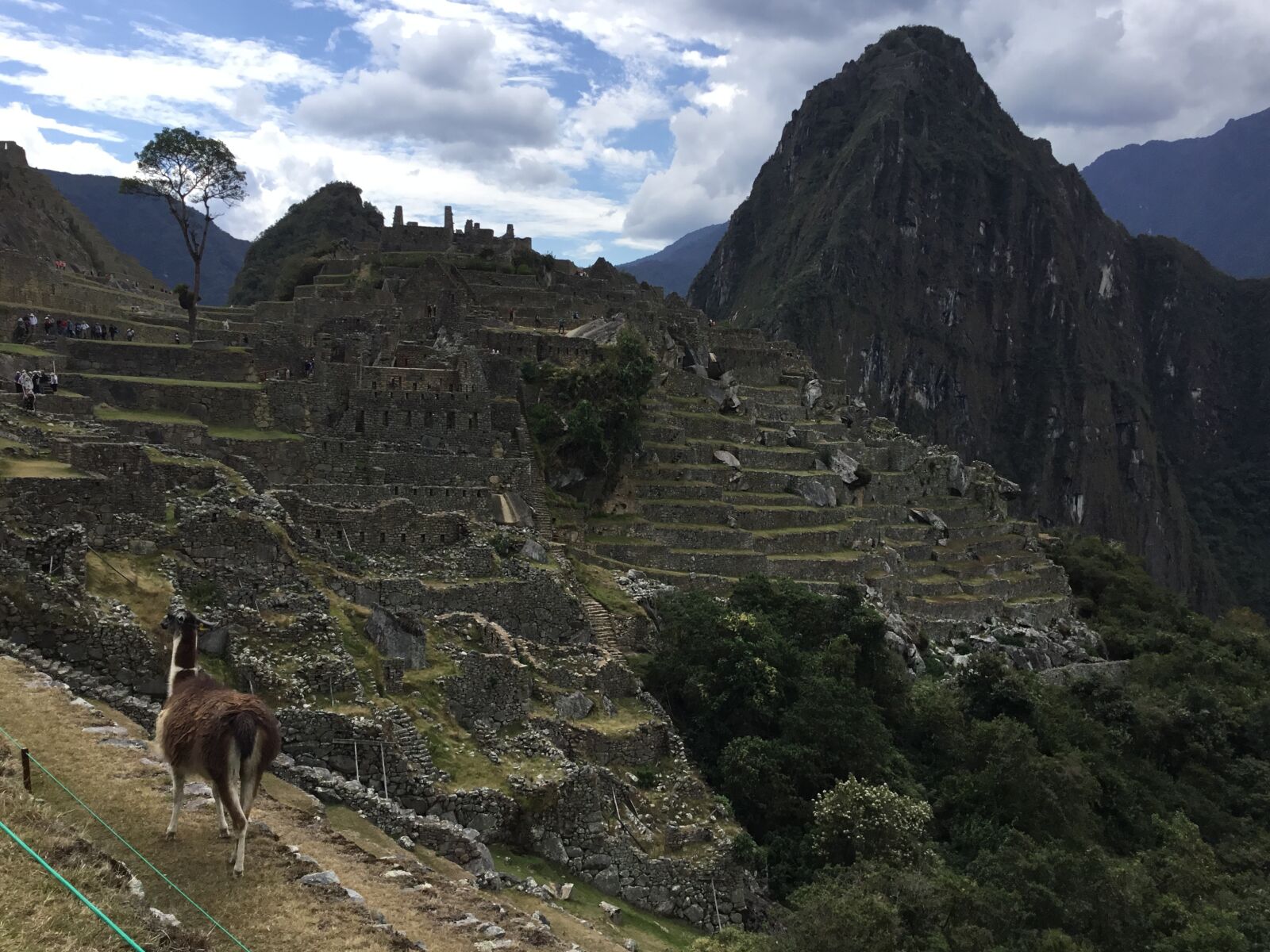 Apple iPad (5th generation) sample photo. Machu-pichu, peru, ruins photography