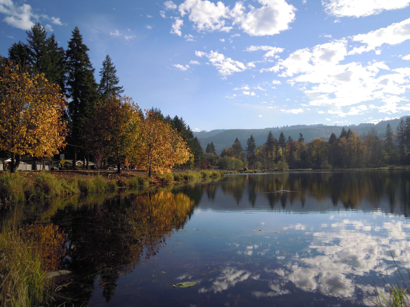 Nikon Coolpix S5100 sample photo. Lake, autumn leaves, fall photography