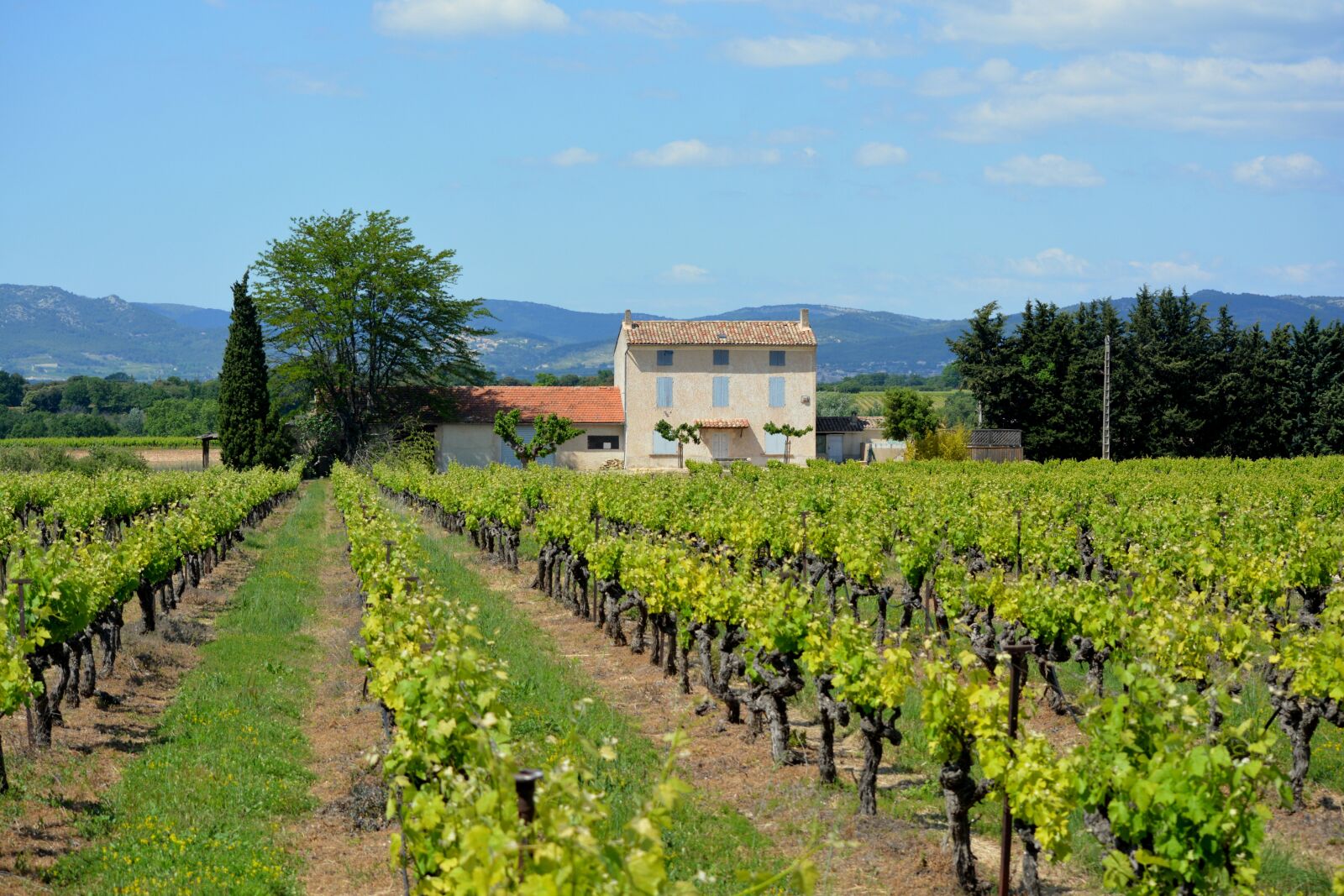 Nikon D5200 sample photo. House, holiday, france photography