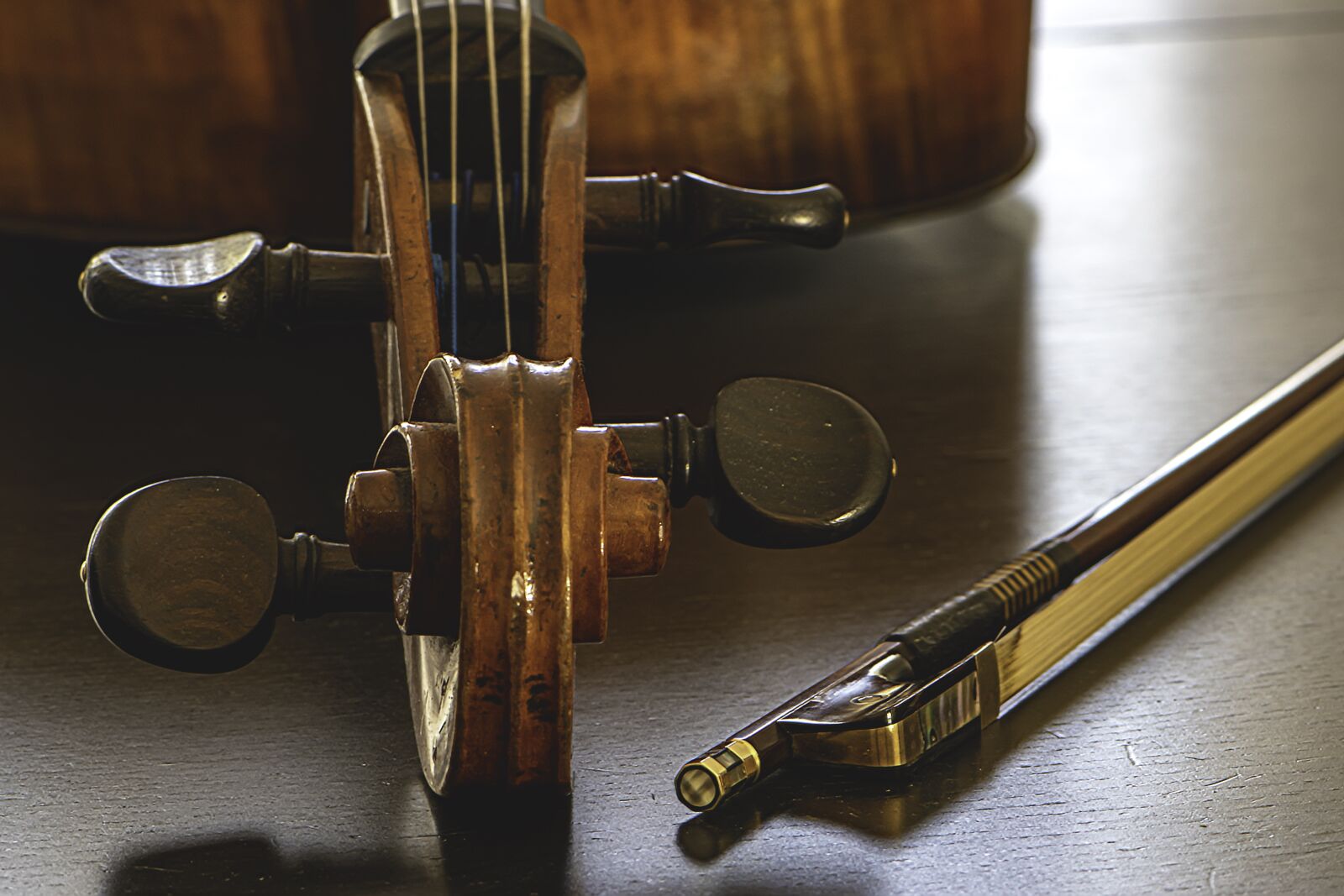 Nikon D5600 sample photo. Cello, sound, string photography