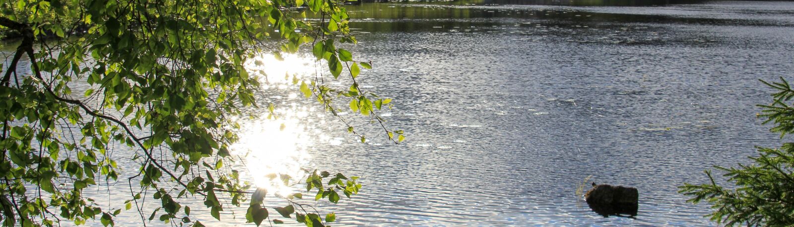 Tamron AF 28-300mm F3.5-6.3 XR Di VC LD Aspherical (IF) Macro sample photo. Summer, sun, lake photography