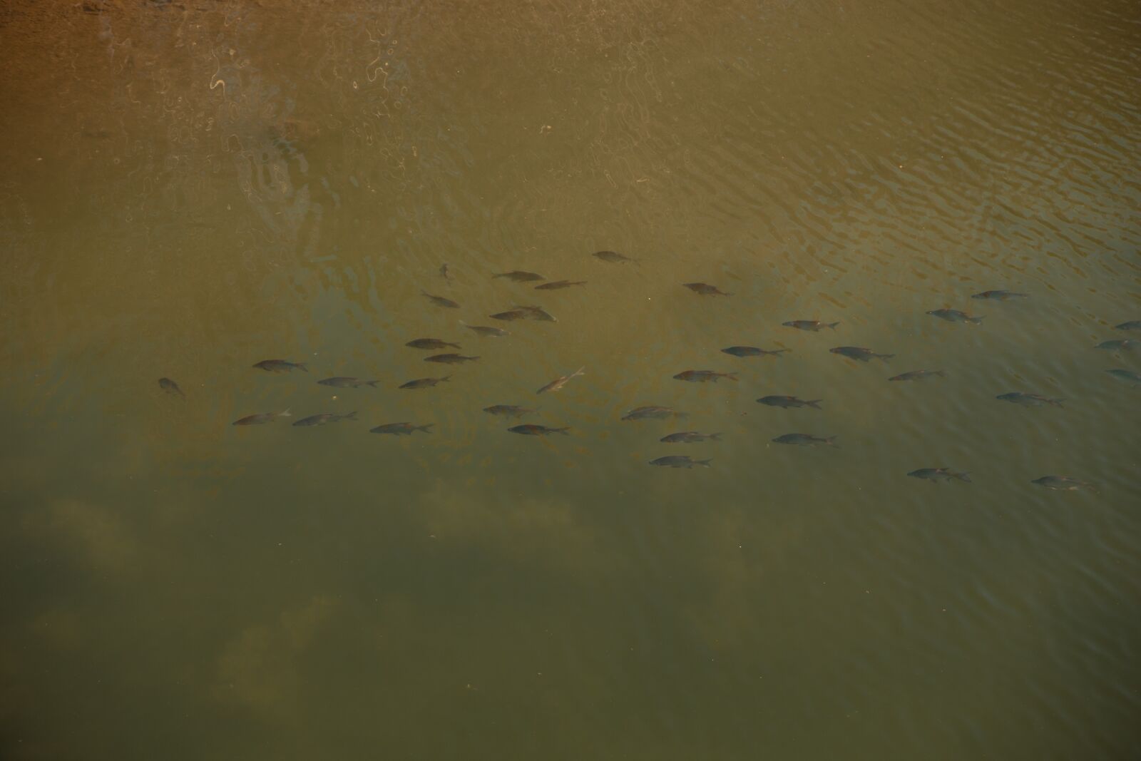 Canon EOS 6D sample photo. River, dam, water tank photography
