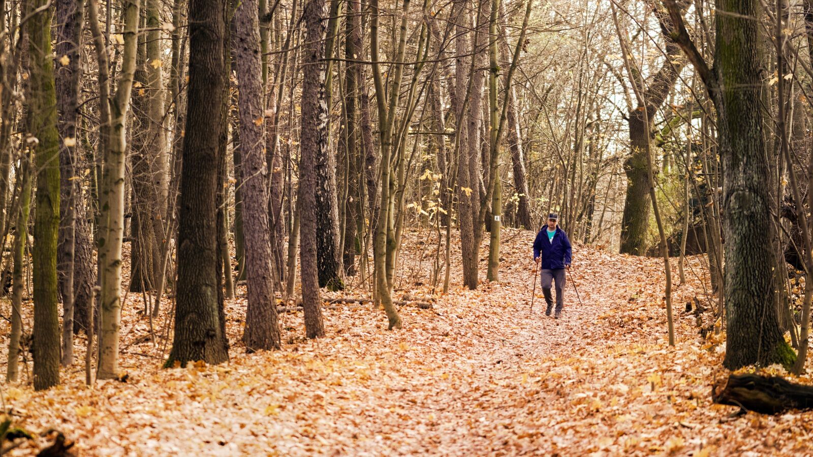 Nikon D5100 sample photo. Person, man, sticks photography