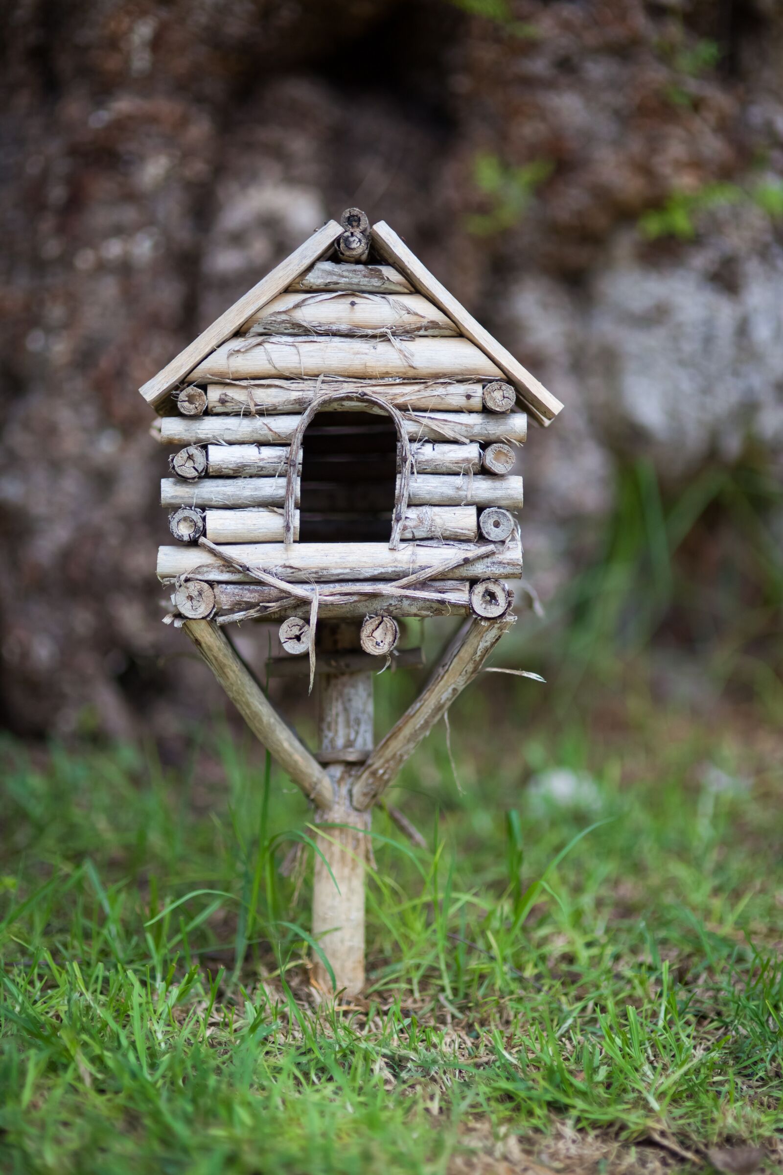 Canon EOS 5D Mark II sample photo. Antique, bird, birdcage photography