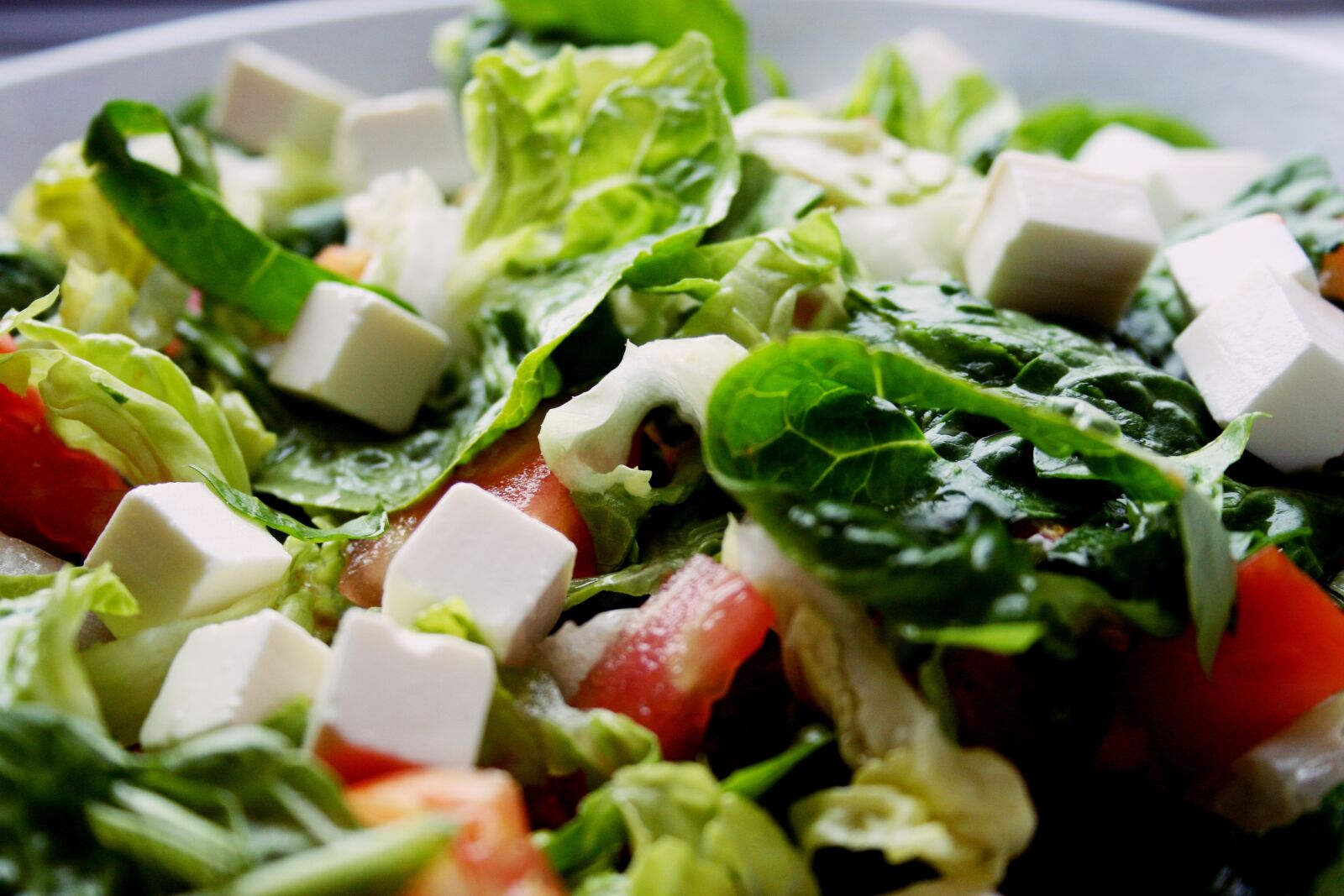 Canon EOS 350D (EOS Digital Rebel XT / EOS Kiss Digital N) sample photo. Salad, cheese, tomato photography