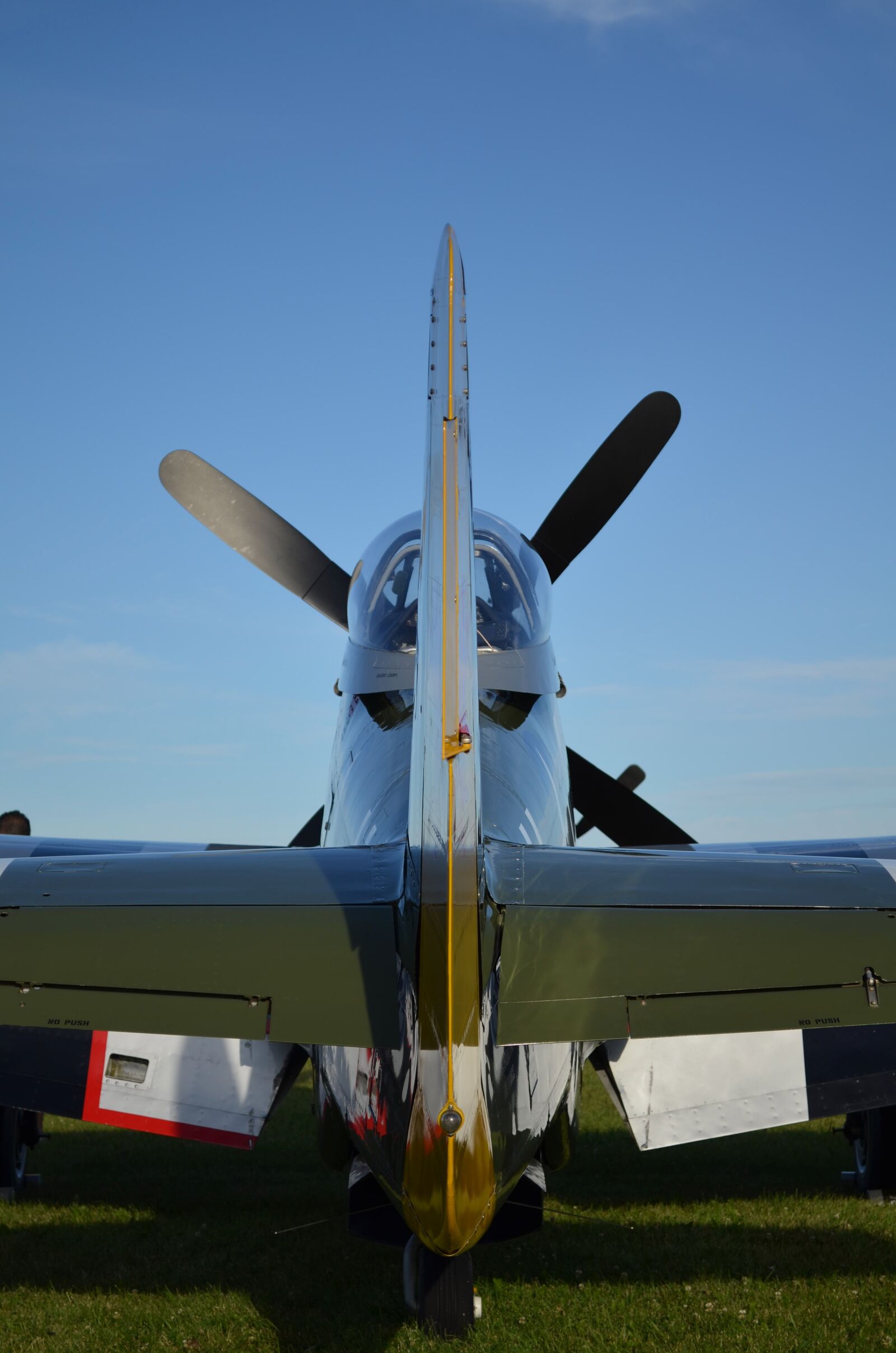 Nikon D5100 sample photo. Mustang, p51, fighter photography