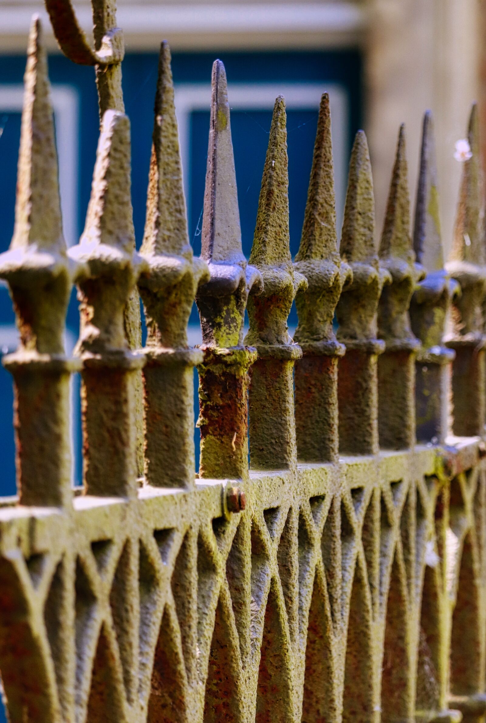 Canon EOS 200D (EOS Rebel SL2 / EOS Kiss X9) sample photo. Fence, metal, still life photography