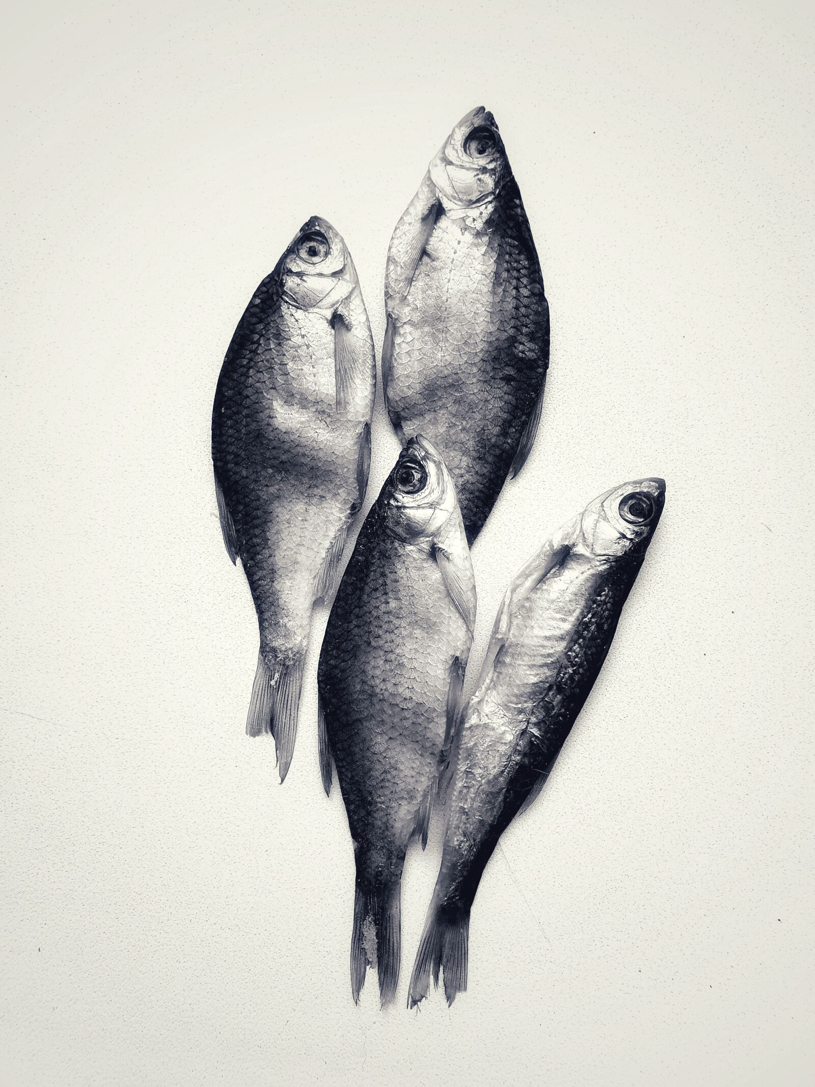 Samsung Galaxy S10 sample photo. Fish, salt, beer photography