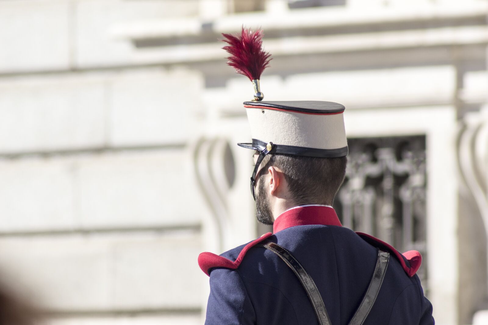 Canon EF 75-300mm f/4-5.6 sample photo. Royal guard, music band photography