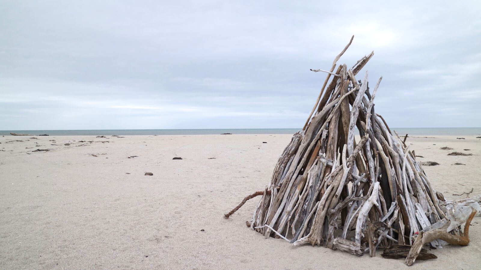 Canon EOS M3 sample photo. Beach, catlins, driftwood, sandcastle photography