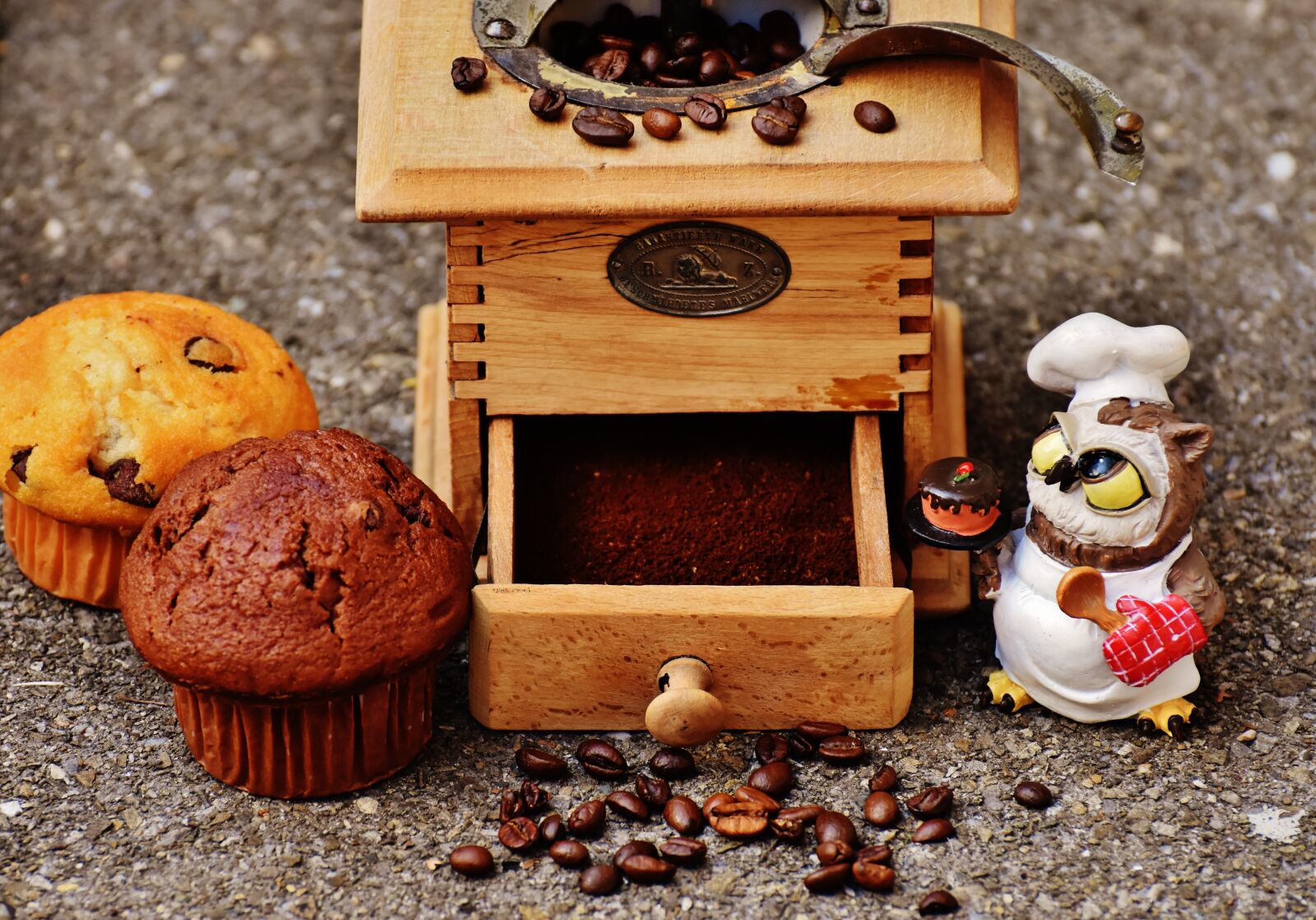 Nikon D7200 sample photo. Grinder, muffin, owl photography