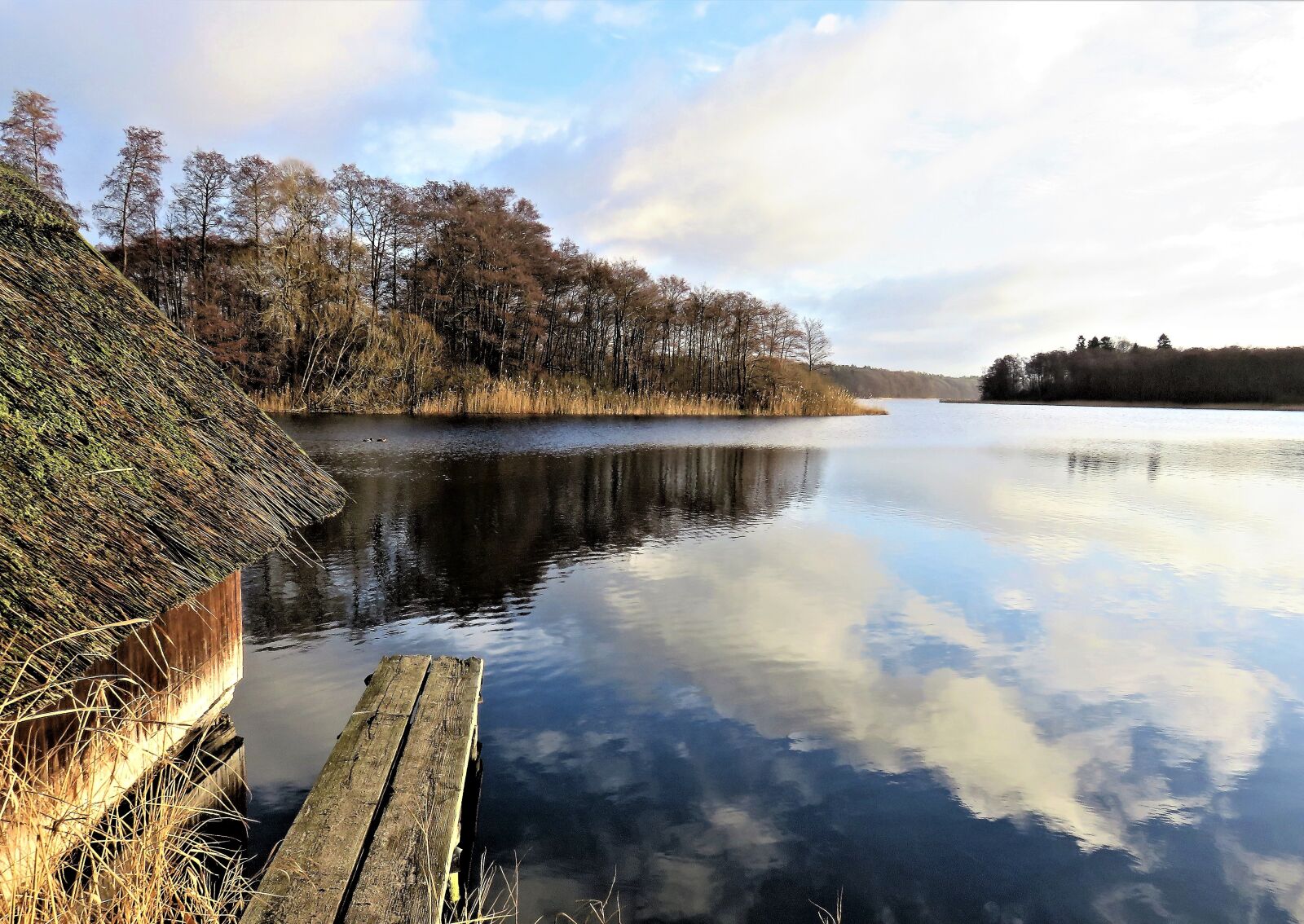 Canon PowerShot SX710 HS sample photo. Lake, landscape, northern germany photography