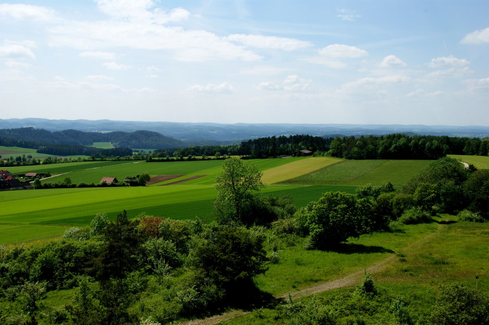 Sony Alpha DSLR-A350 sample photo. Scenic, pasture, fields photography