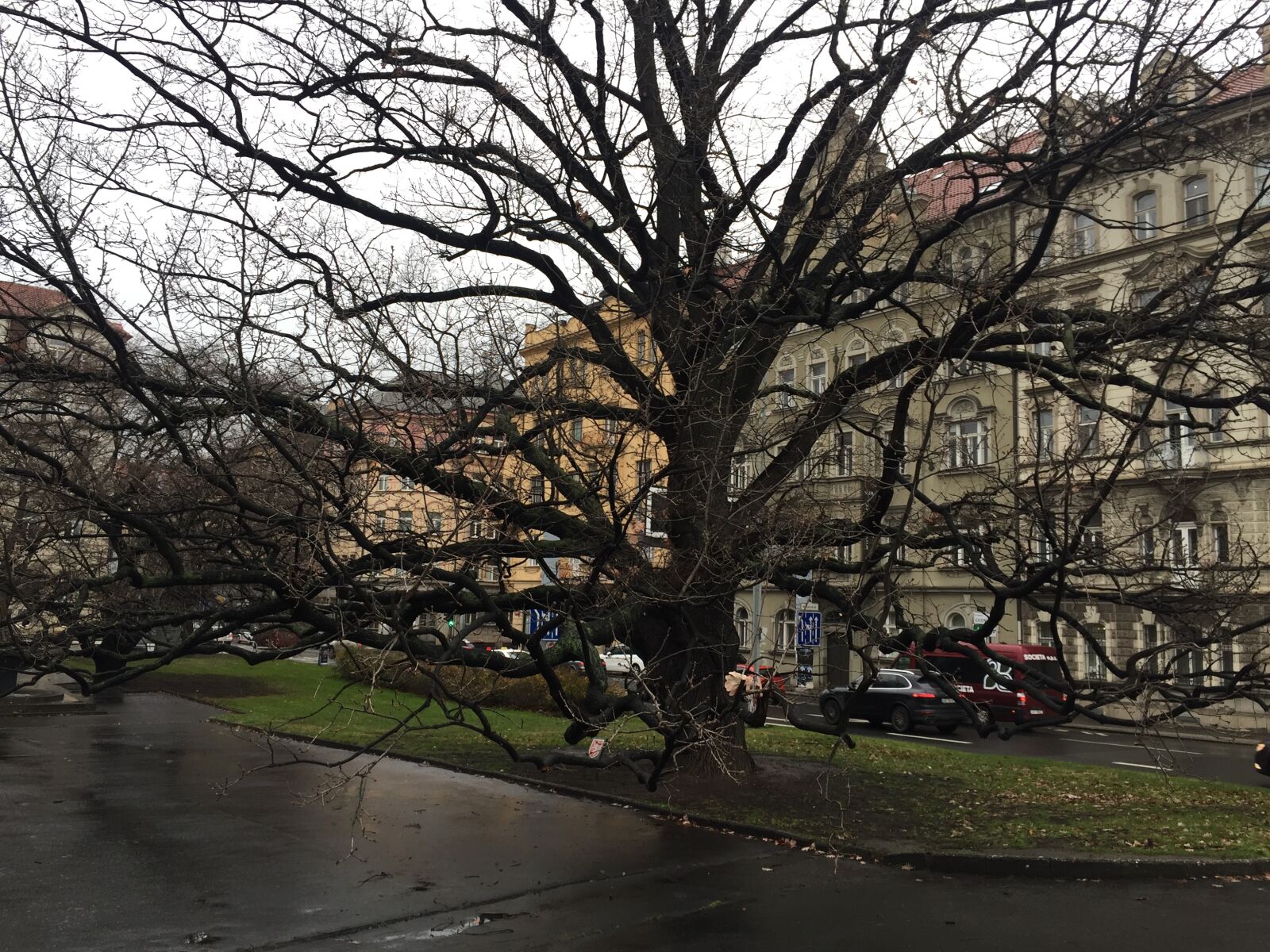 iPhone 6 Plus back camera 4.15mm f/2.2 sample photo. Czech republic, prague, beautiful photography