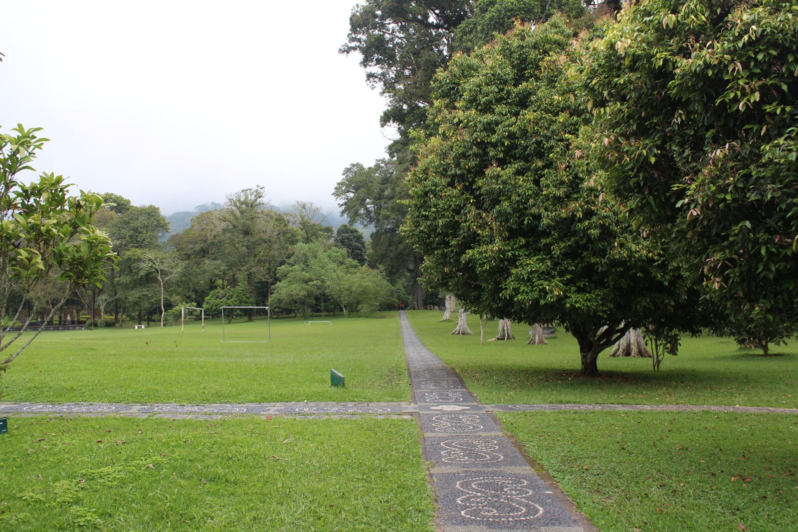 Canon EOS 650D (EOS Rebel T4i / EOS Kiss X6i) sample photo. Nature, forest, landscape photography