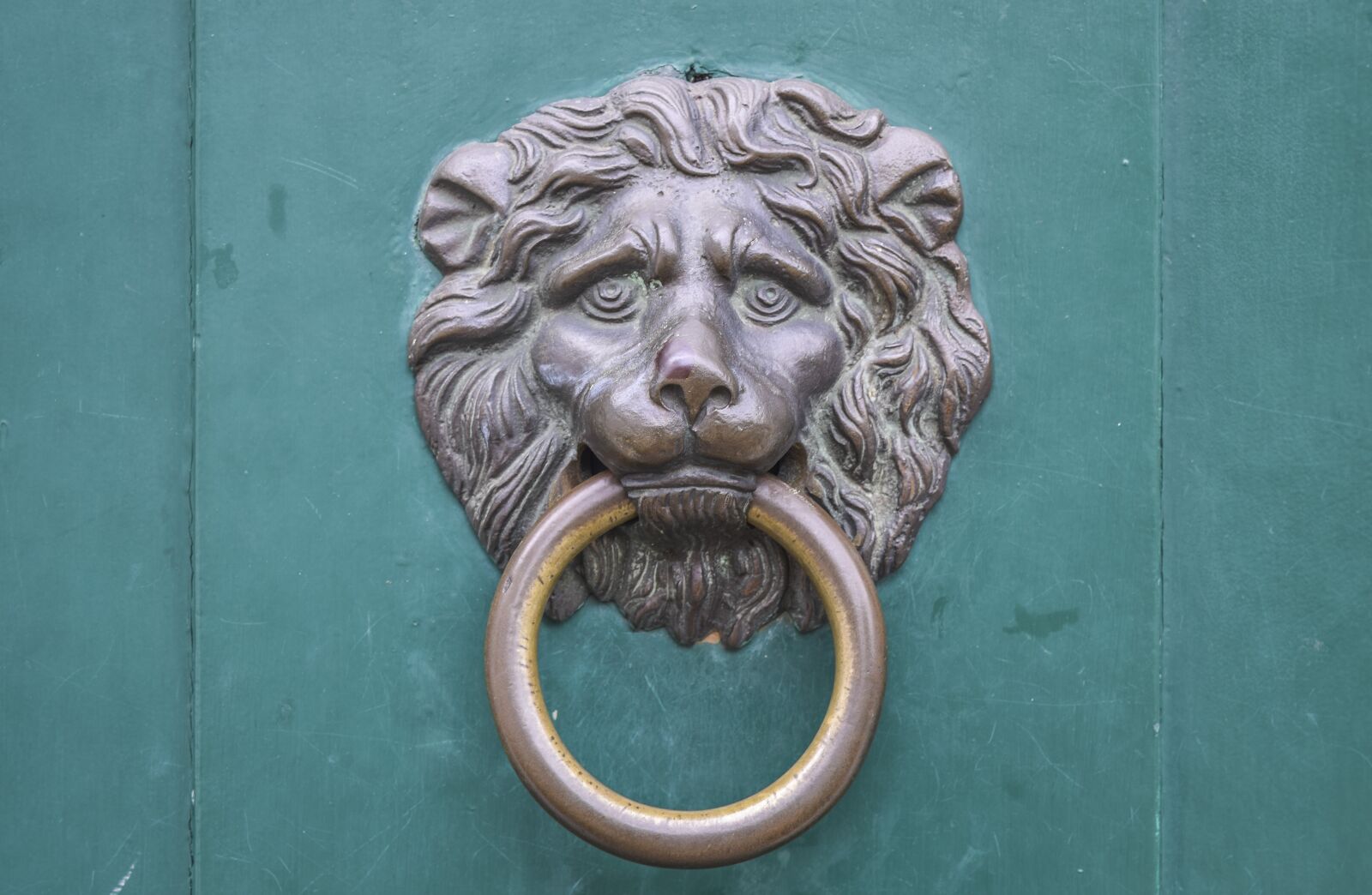 Nikon D3300 sample photo. Door, doorknocker, input photography