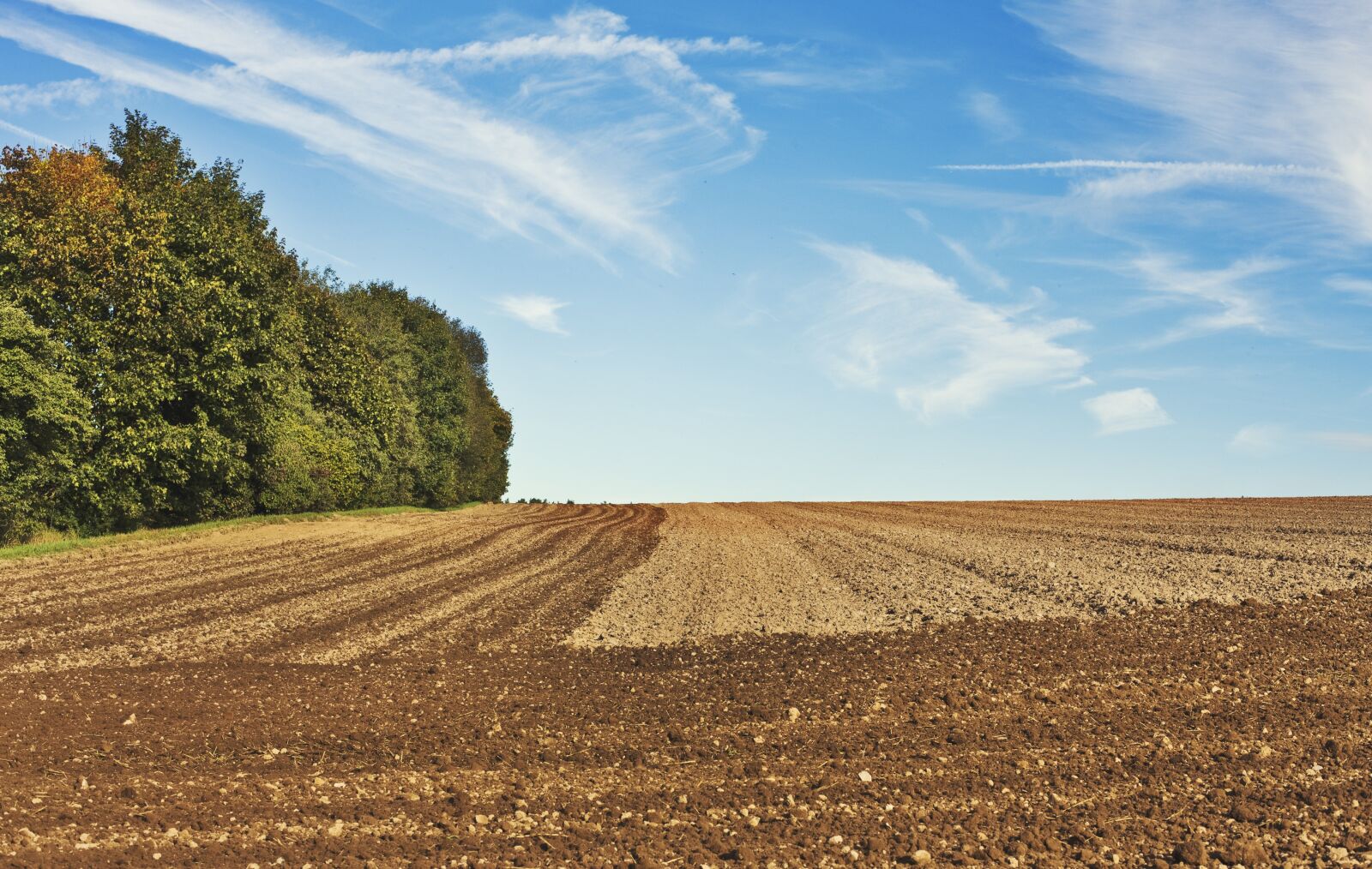 Canon EOS-1Ds Mark III sample photo. Arable, agriculture, agricultural tractor photography