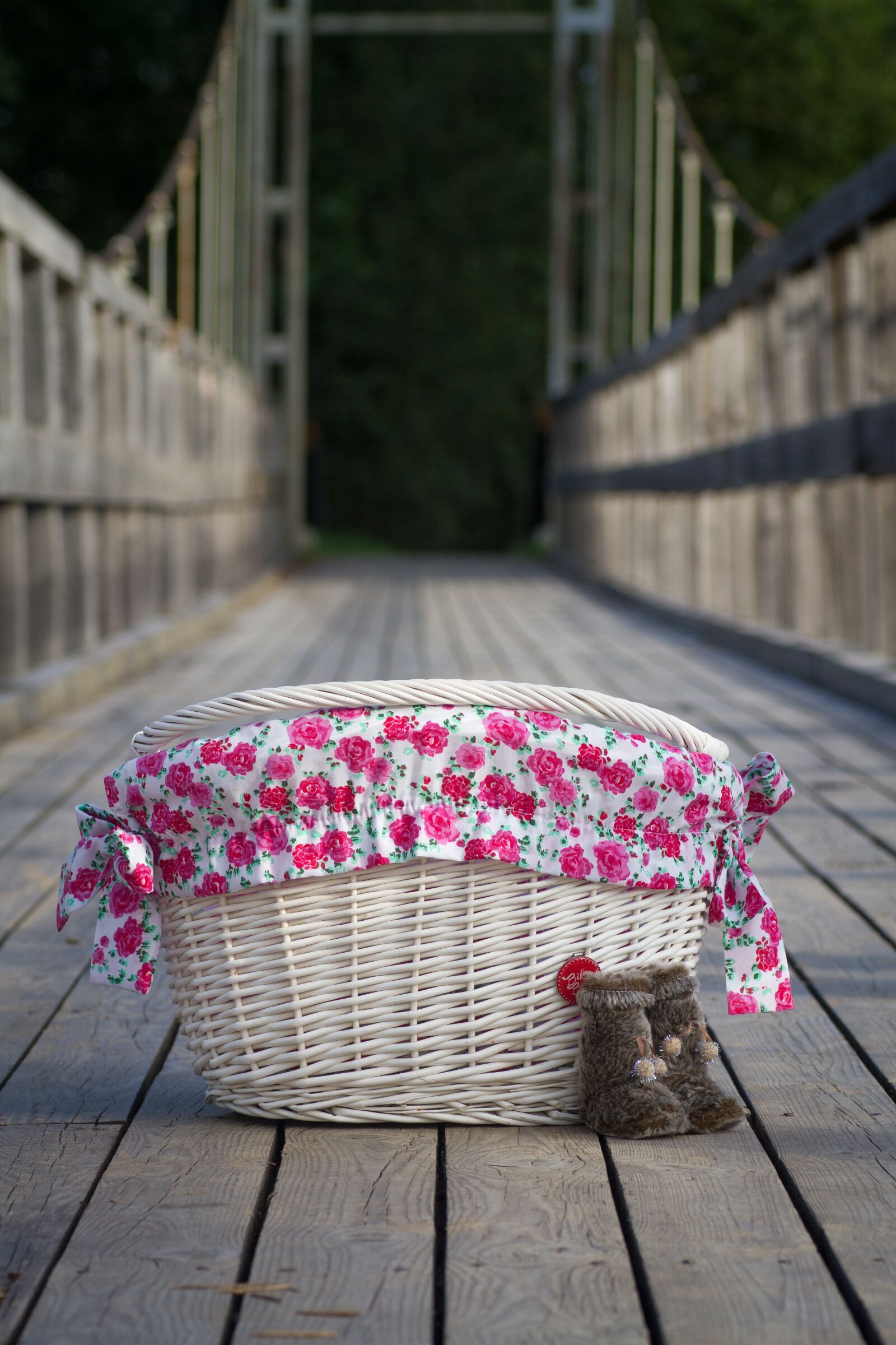 Tamron SP 90mm F2.8 Di VC USD 1:1 Macro sample photo. Basket, flowers, color photography