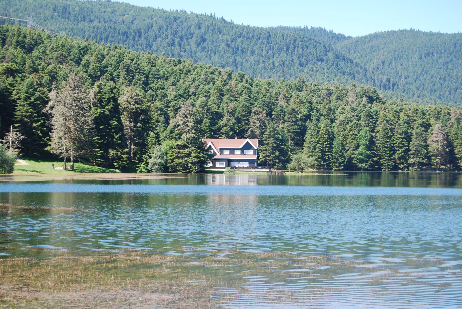 Nikon D60 sample photo. Lake, nature, forest photography