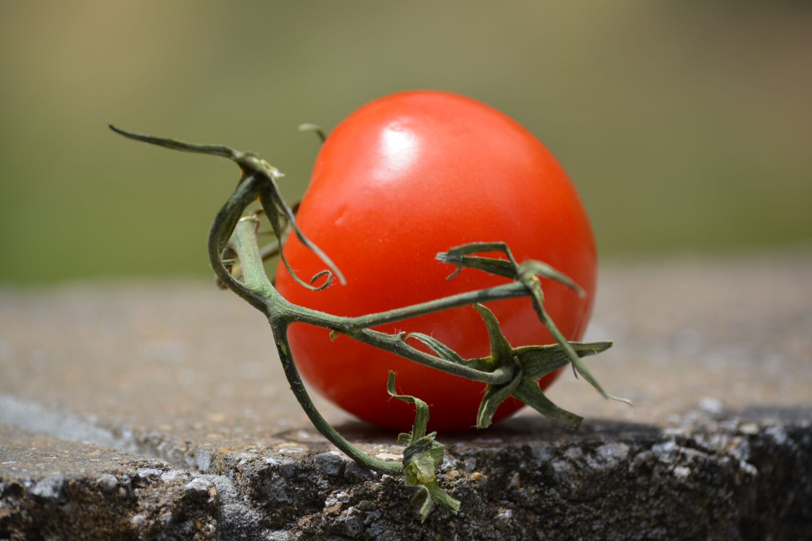 Nikon D5200 sample photo. Tomato, food, cookout photography
