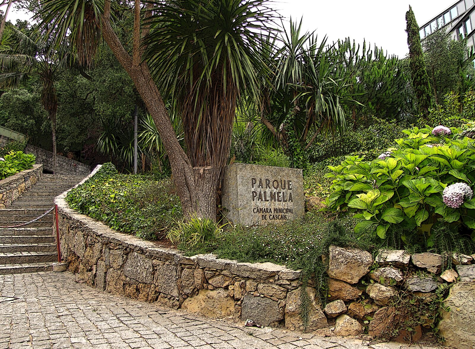 Canon PowerShot SX20 IS sample photo. Park, trees, portugal photography