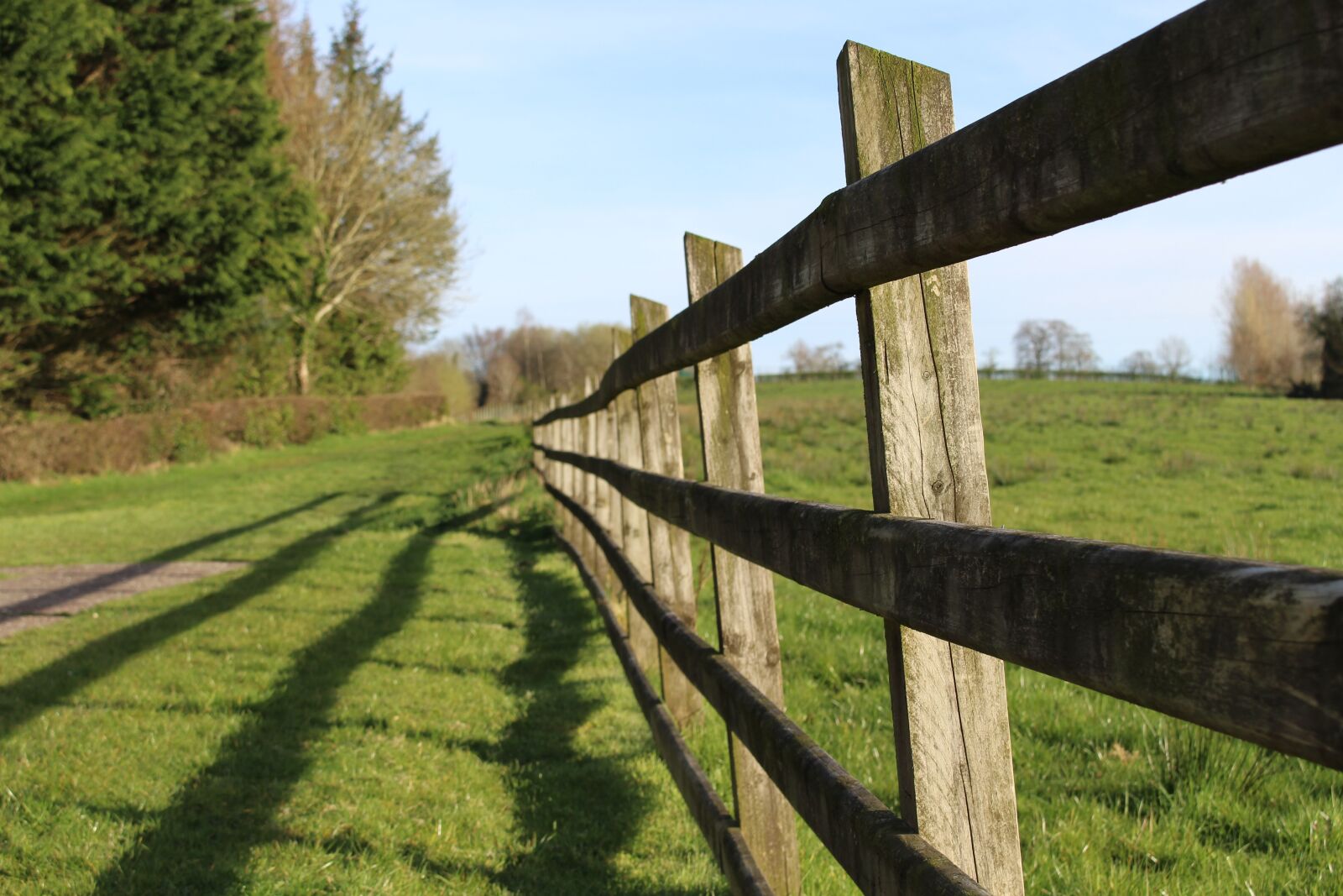 Canon EOS 700D (EOS Rebel T5i / EOS Kiss X7i) sample photo. Lines, fence, shadows photography