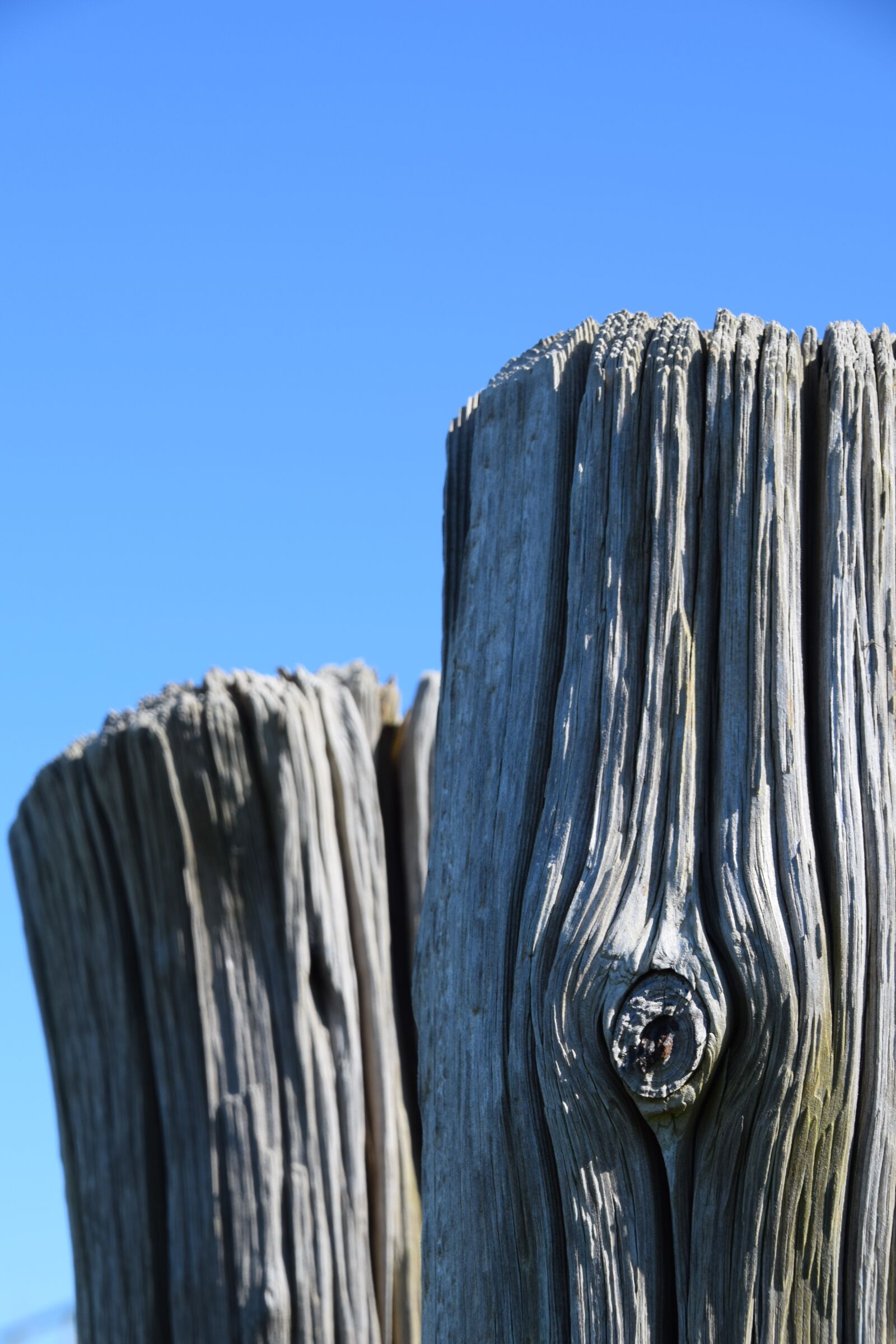 Nikon D3300 sample photo. Wood, pole, blue photography