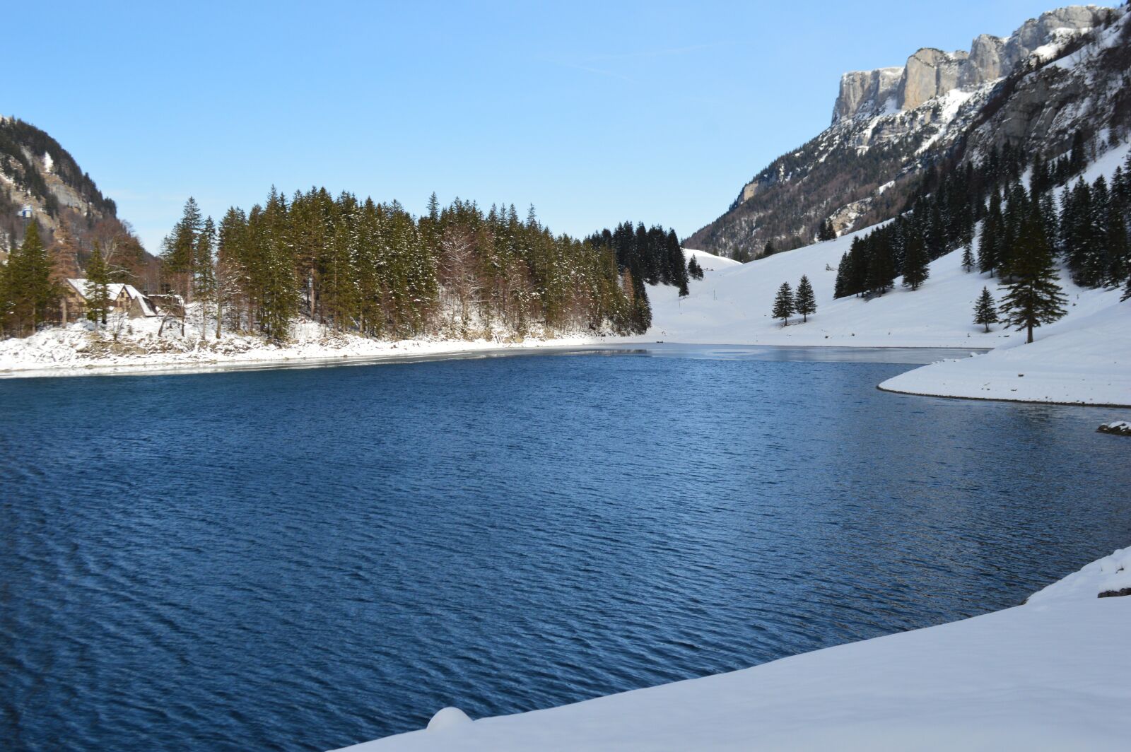 Nikon D3200 sample photo. Nature, winter, snow photography
