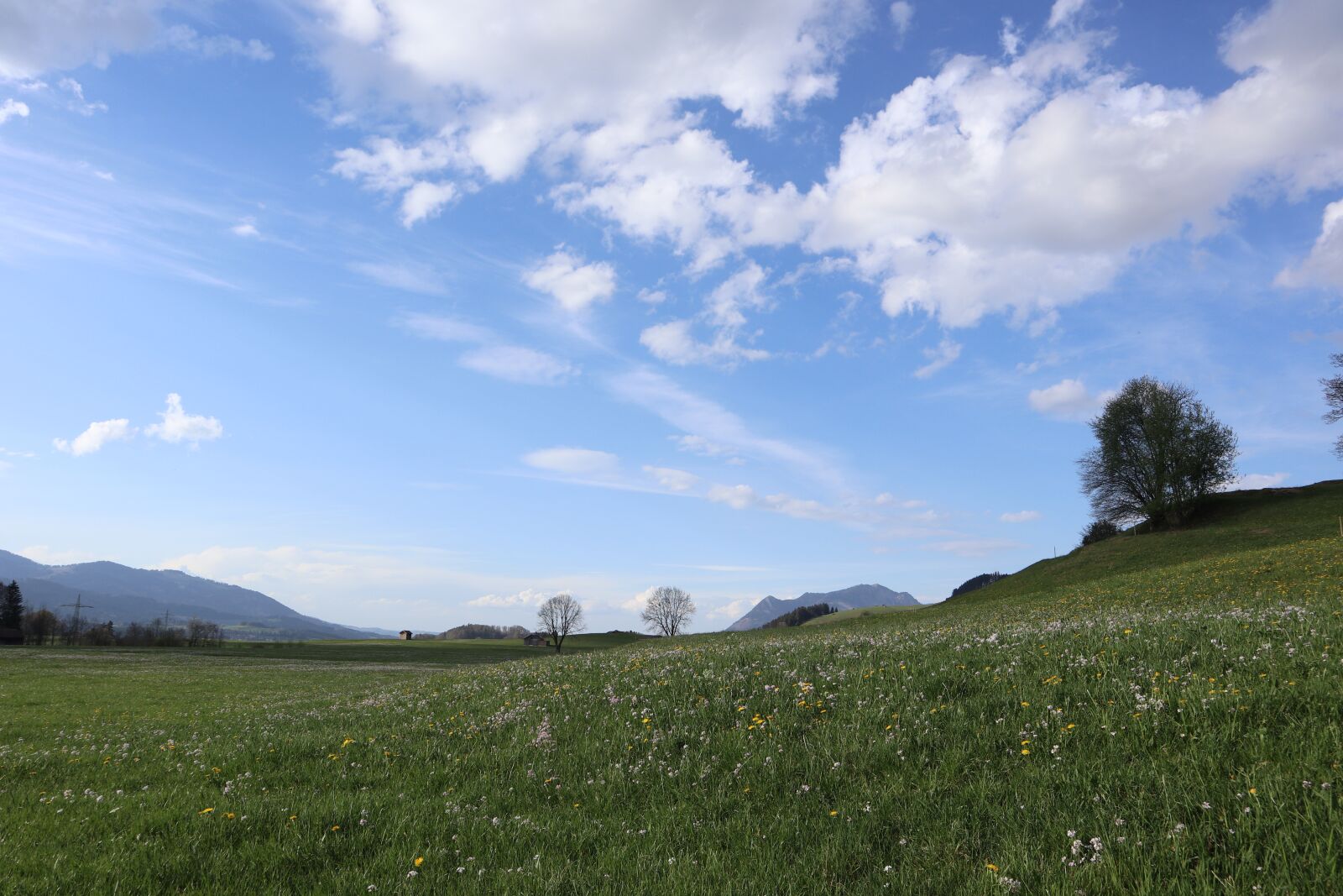 Canon EOS M100 sample photo. Spring, sky, grass photography