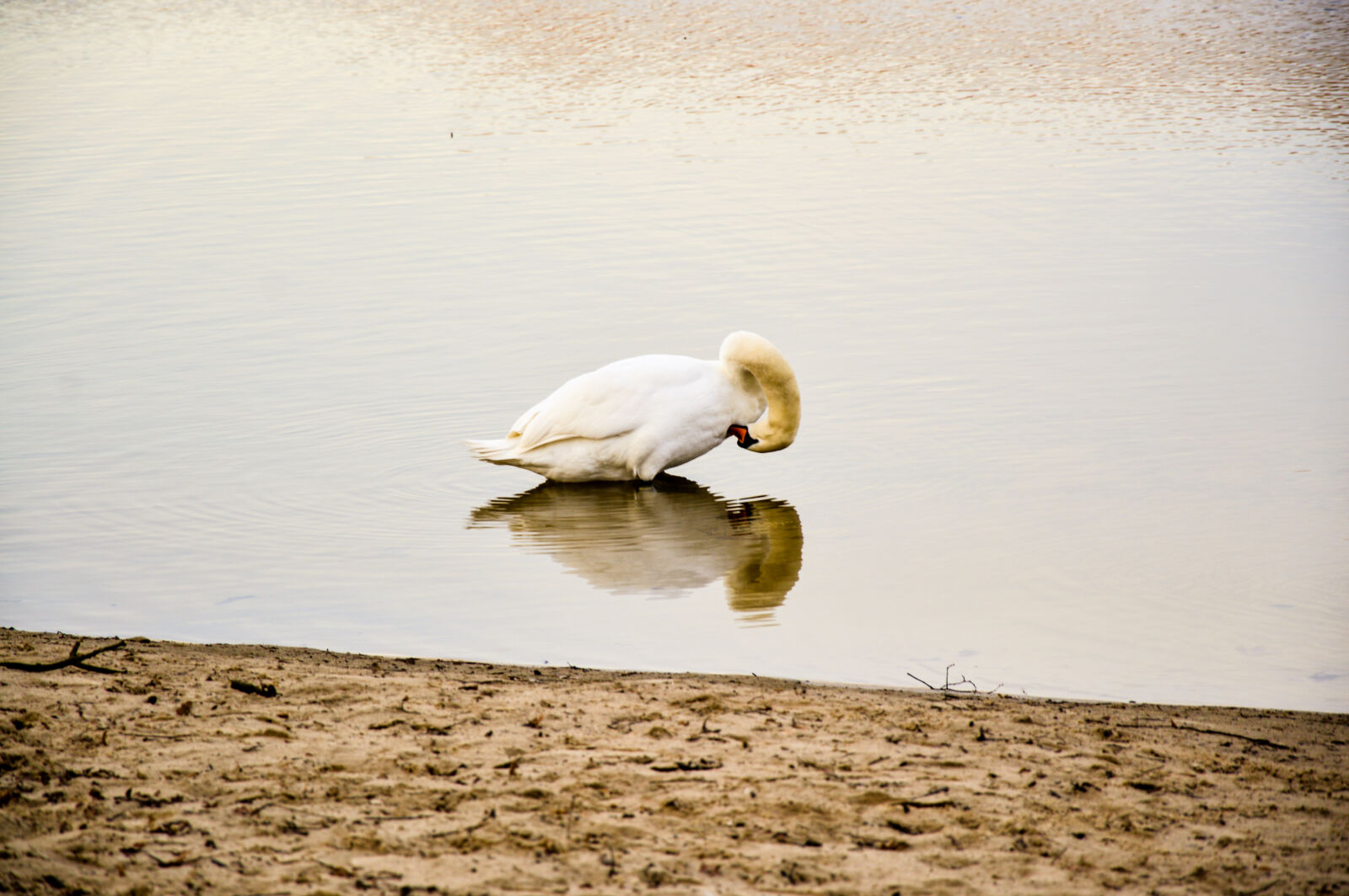 Nikon D3200 sample photo