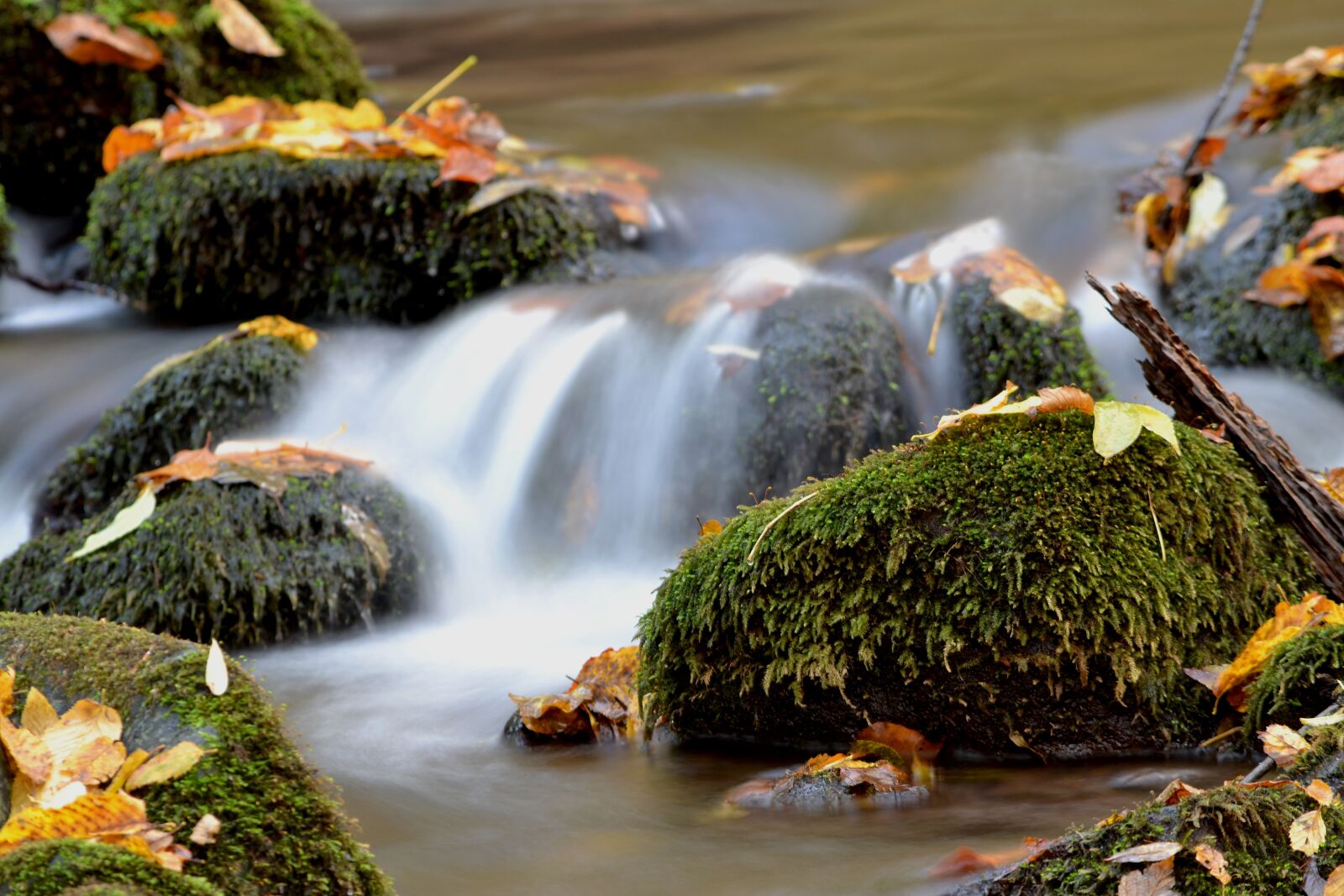 Nikon D3100 sample photo. Autumn, water, nature photography