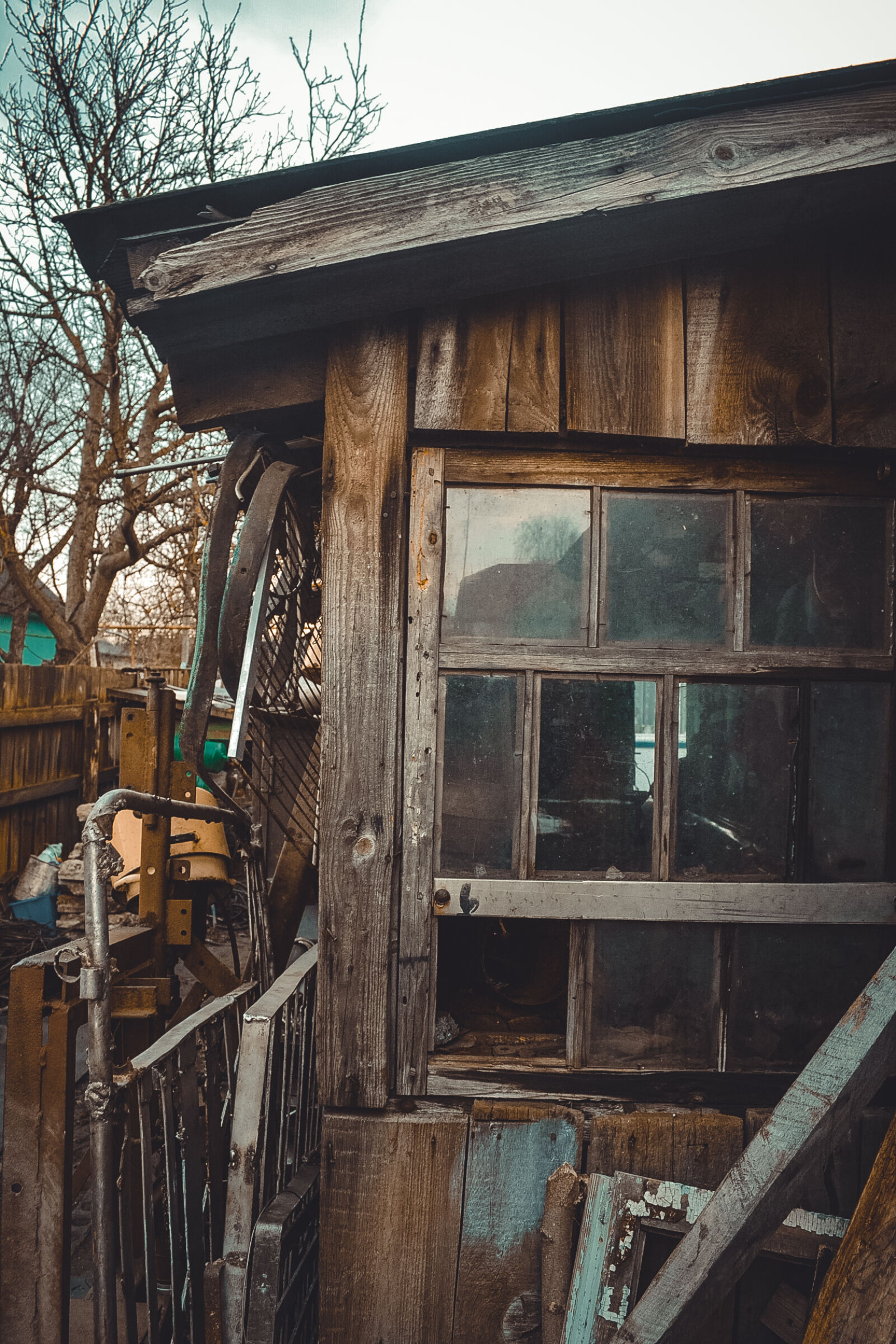 Nikon D3100 sample photo. House, treehouse photography