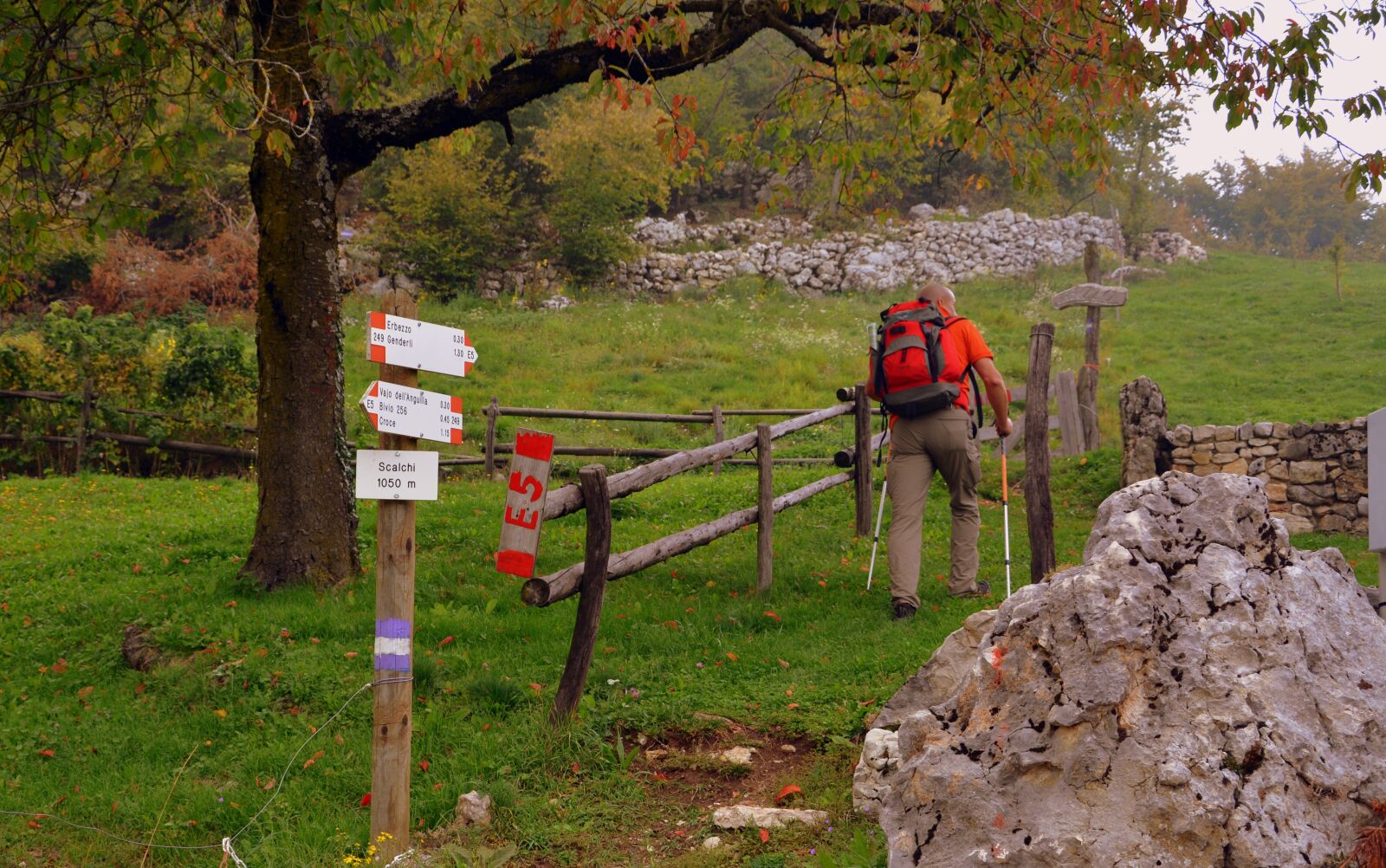 Nikon D7100 sample photo. Signal, excursion, walk photography