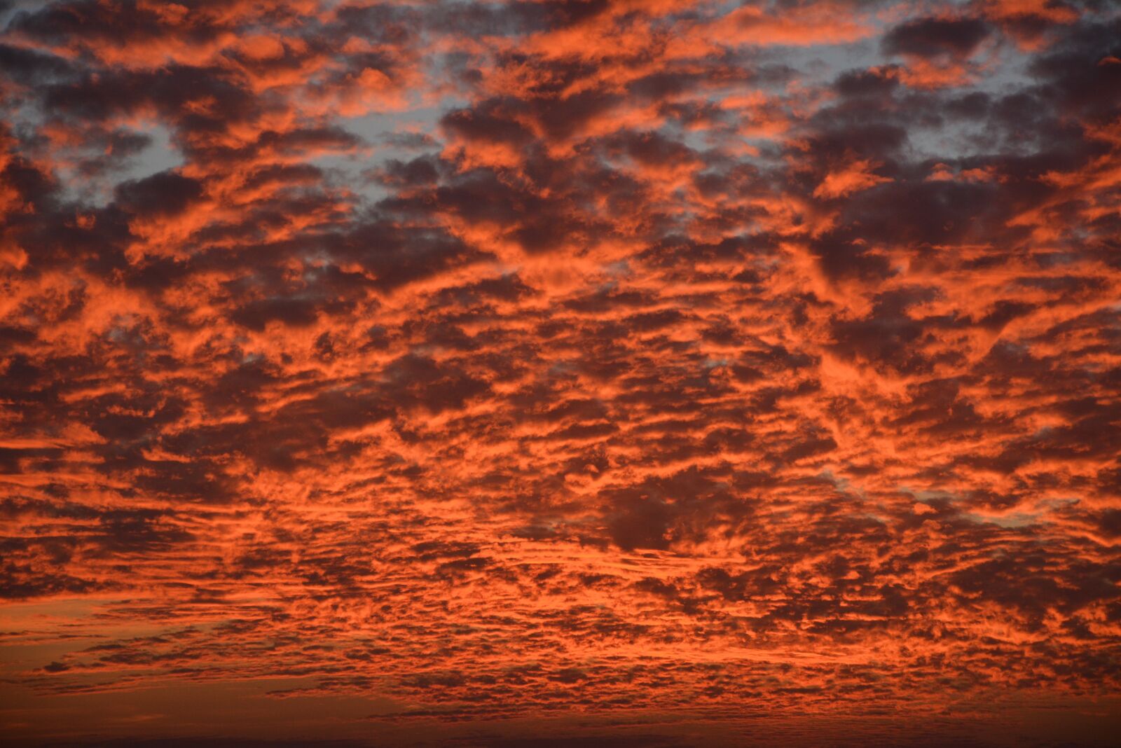 Nikon D7100 sample photo. Abstract, sunset, insubstantial photography