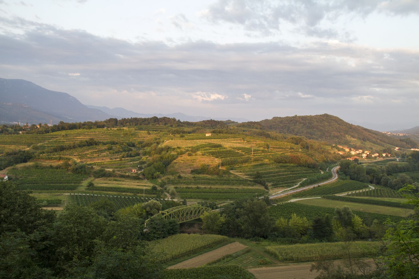 Canon EOS 7D sample photo. Autumn, outdoor, vineyard photography