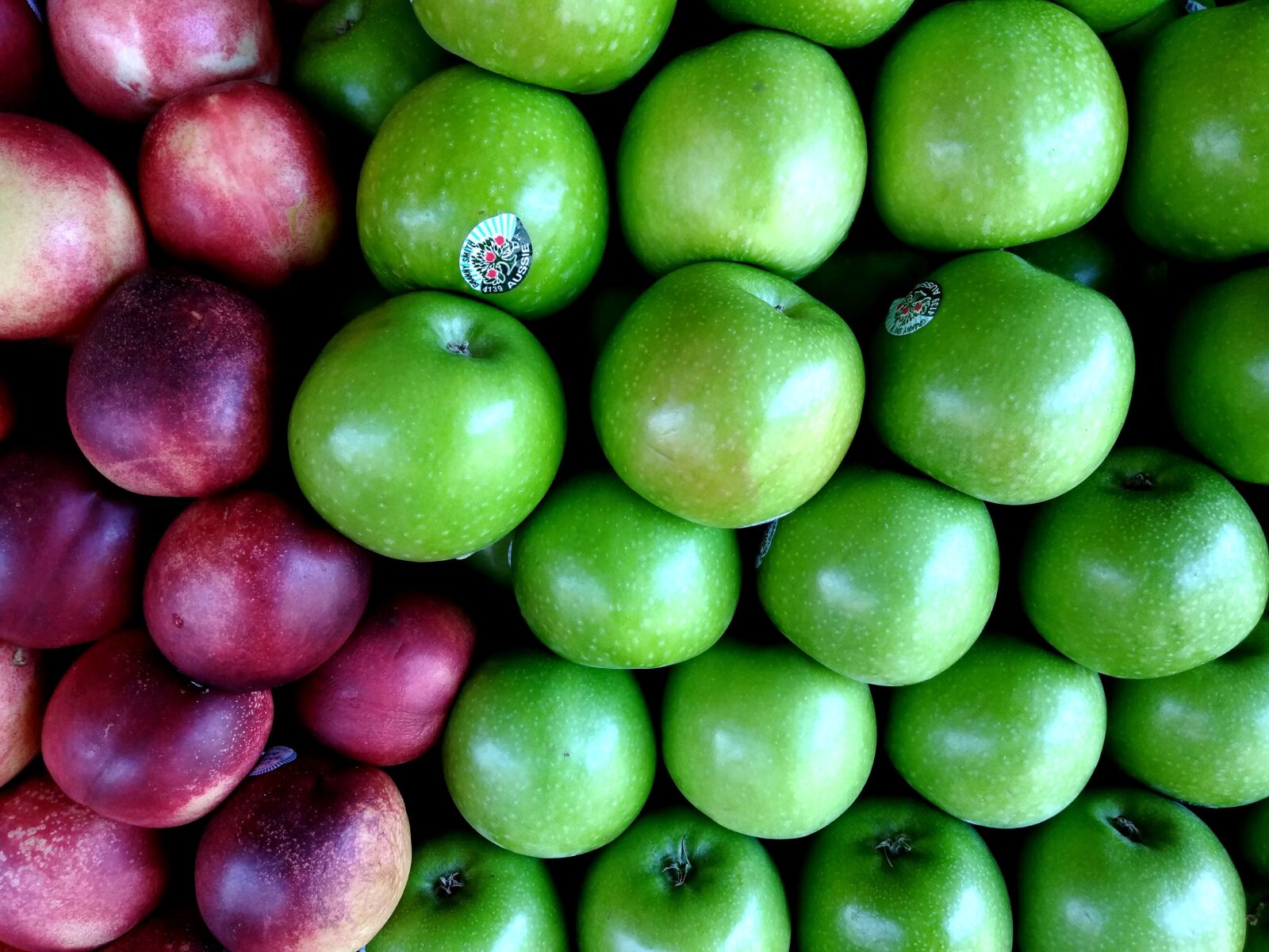 ASUS ZenFone 4 Selfie (ZD553KL) sample photo. Apple, apple green, green photography