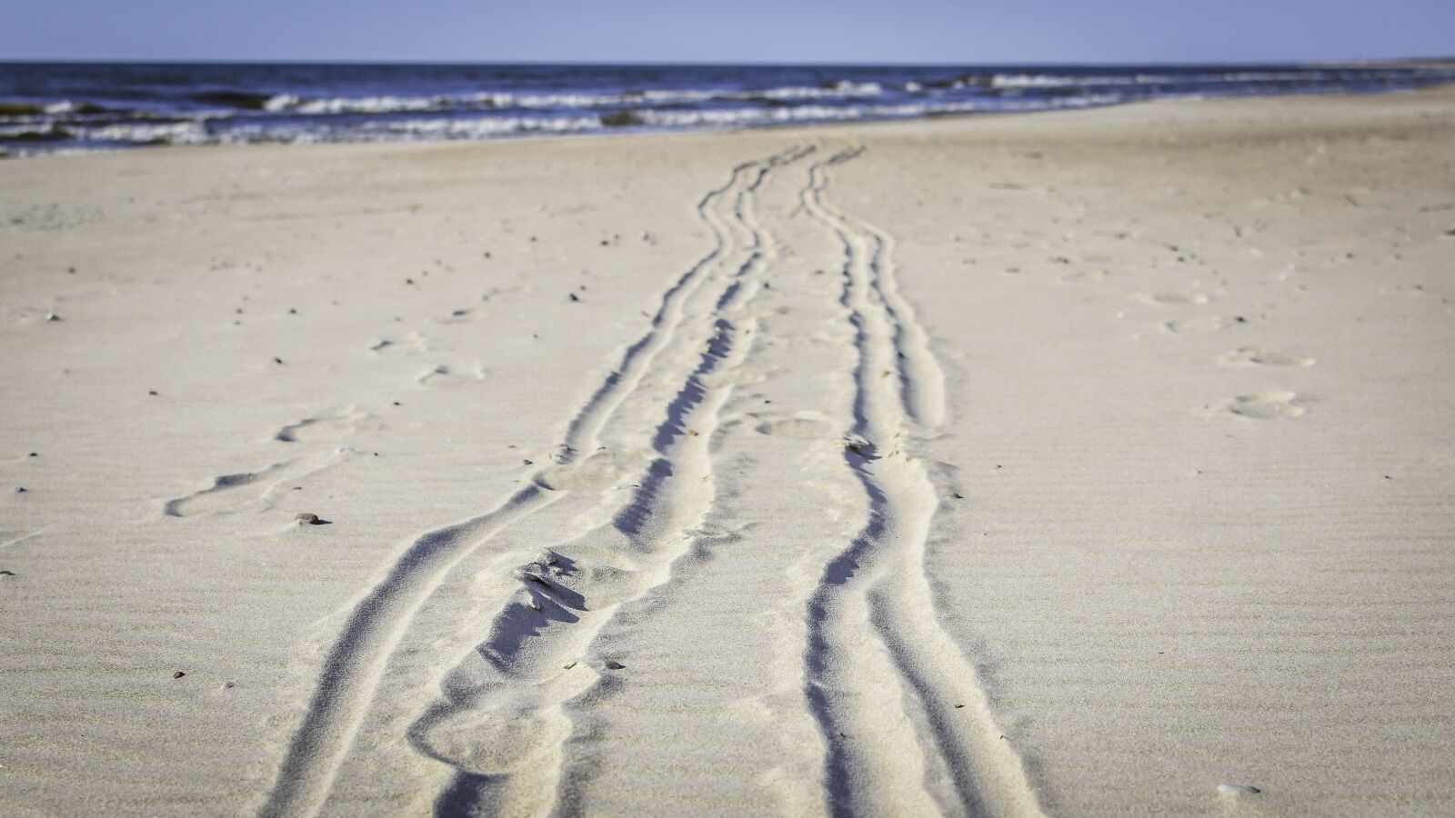 Nikon D7200 sample photo. Trace, way, path photography