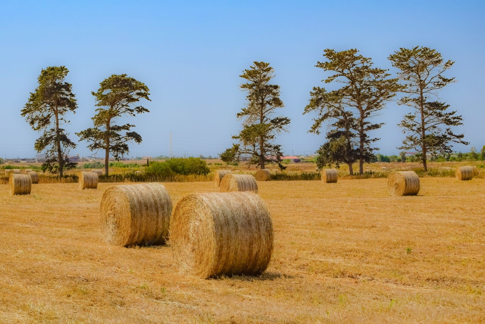 Nikon D3300 sample photo. Hay, agriculture, straw photography