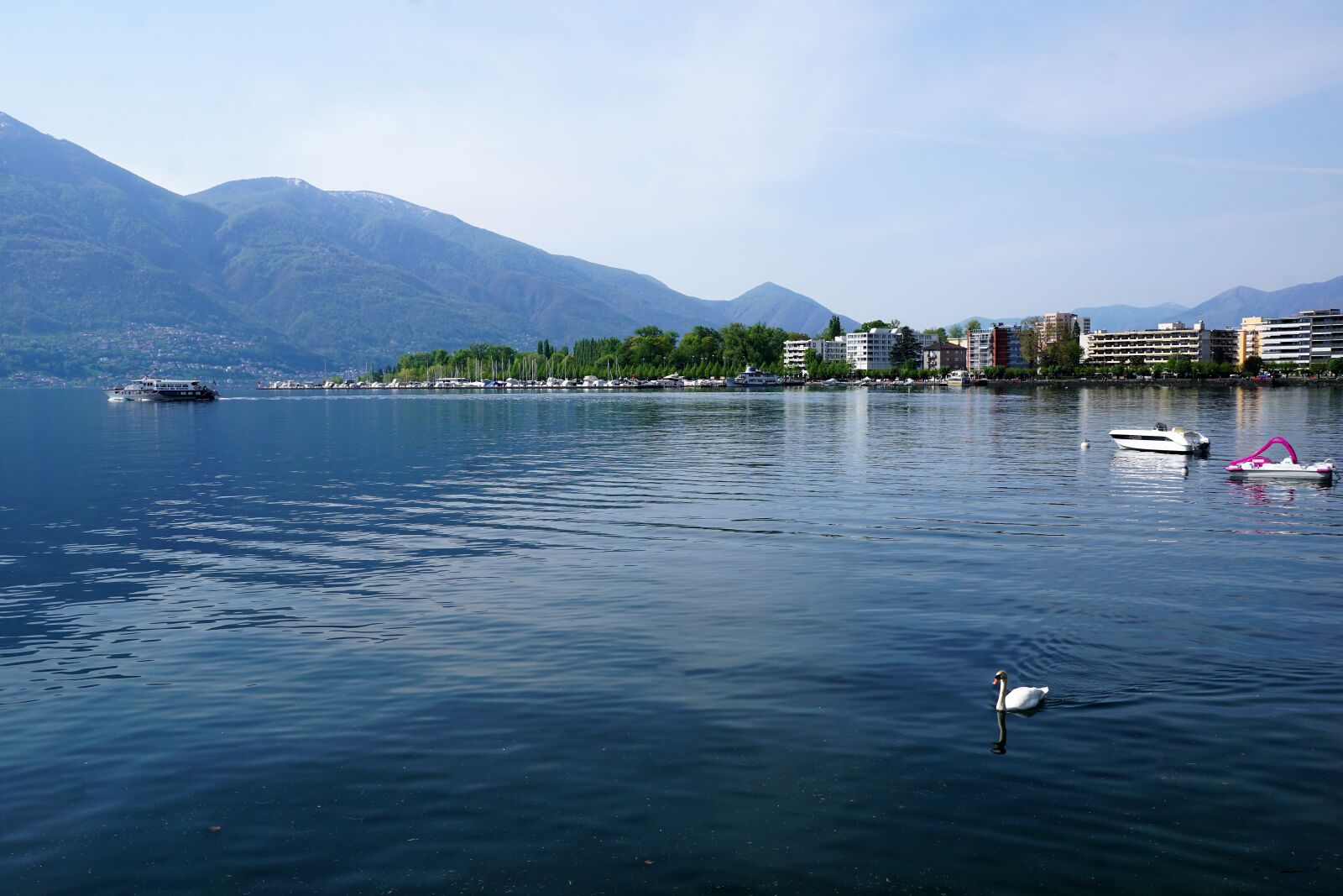 Sony ILCA-77M2 + Sony DT 16-50mm F2.8 SSM sample photo. Locarno, film, festival photography