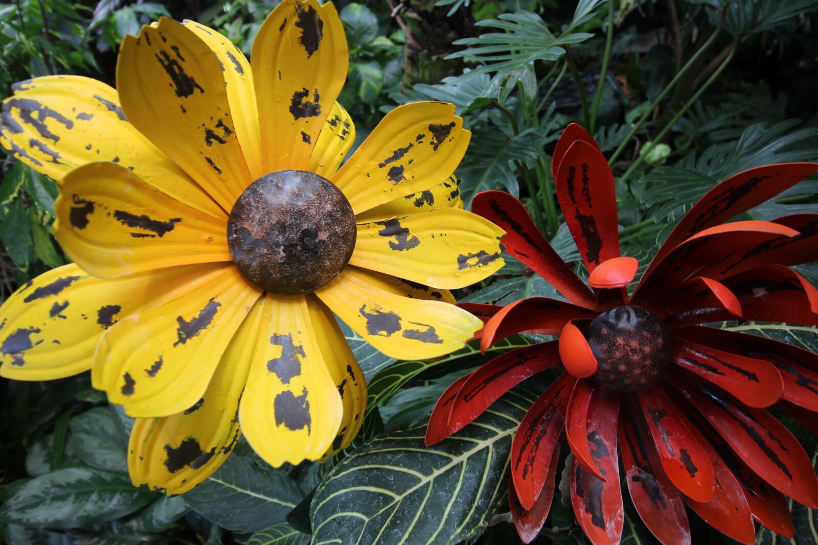 Canon EOS 600D (Rebel EOS T3i / EOS Kiss X5) sample photo. Yellow, flower, floral photography