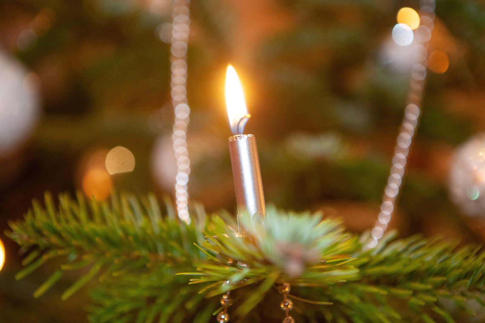 Canon EOS 5D Mark II sample photo. Christmas, christmas time, weinachtlich photography