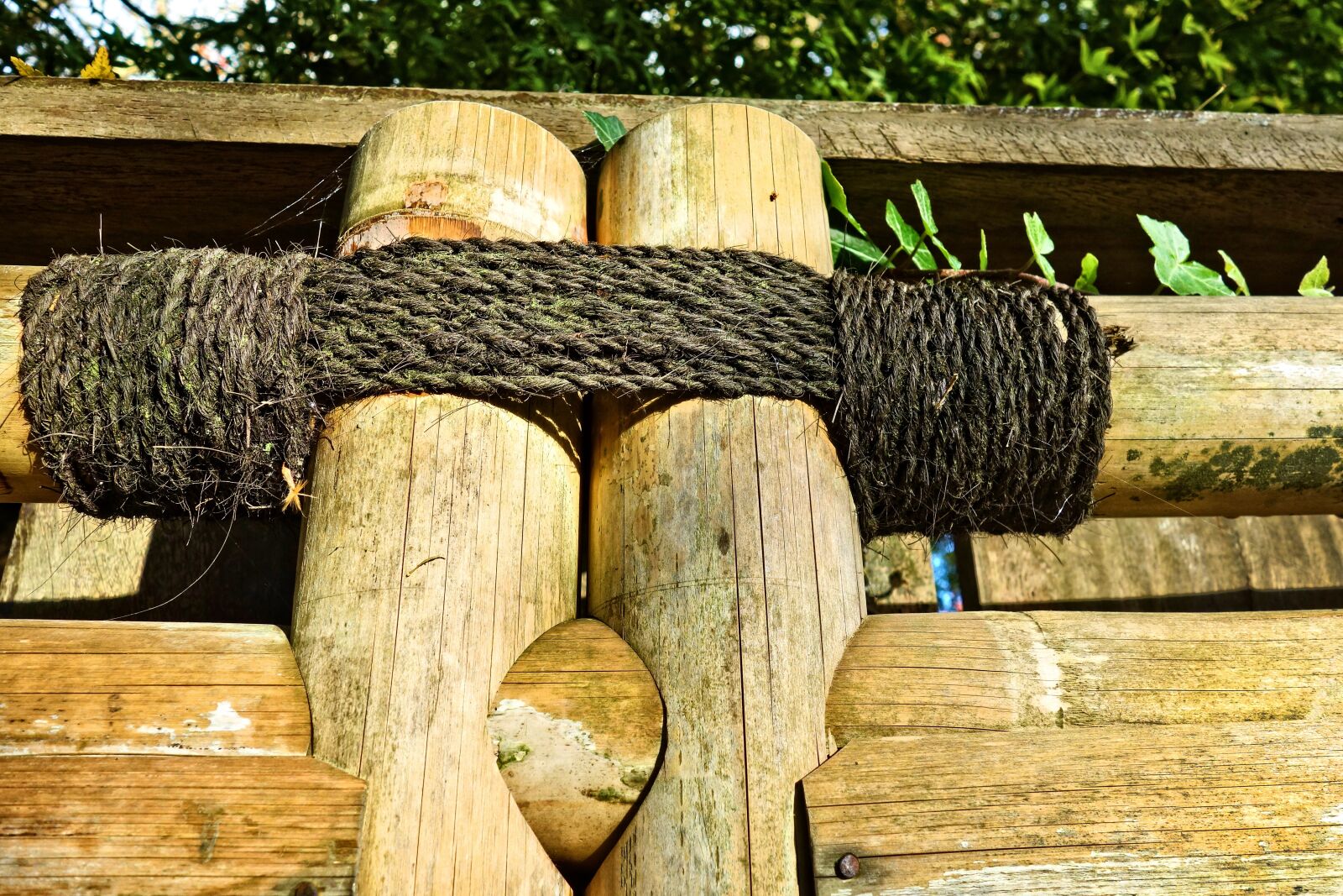 Sony Cyber-shot DSC-RX100 sample photo. Fence, bamboo, japanese fence photography