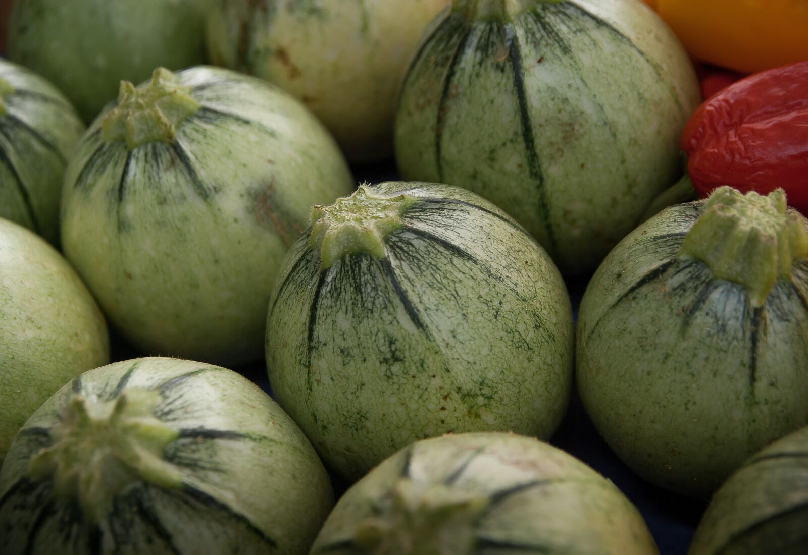 Pentax K10D sample photo. Vegetables, zucchini, vegetable garden photography