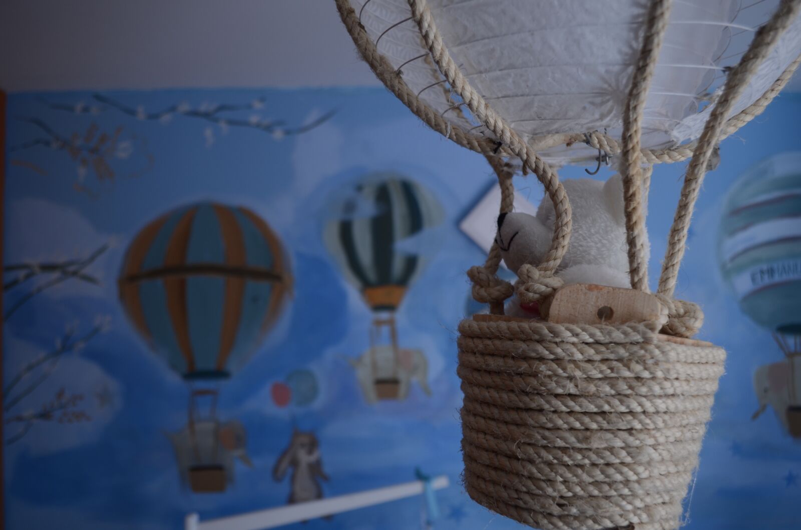 Nikon D7000 sample photo. Globo aerost tico, oso photography