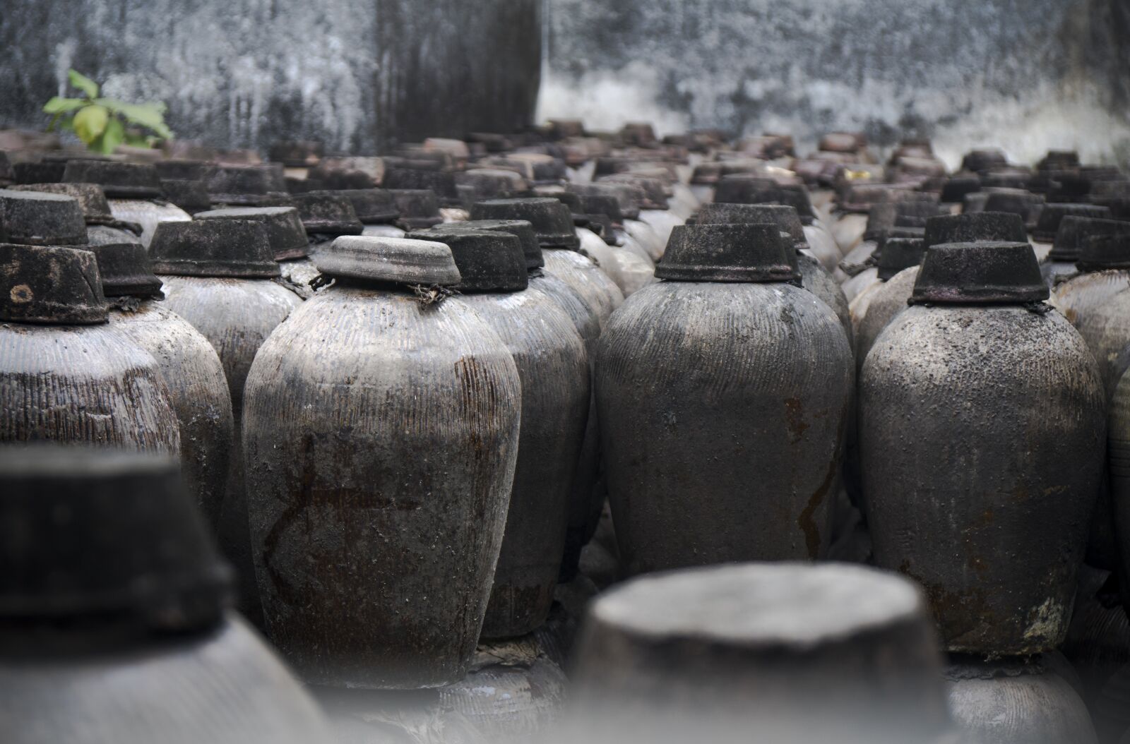 Sony a6300 + Sony Vario-Tessar T* E 16-70mm F4 ZA OSS sample photo. Old, wine tank, wine photography