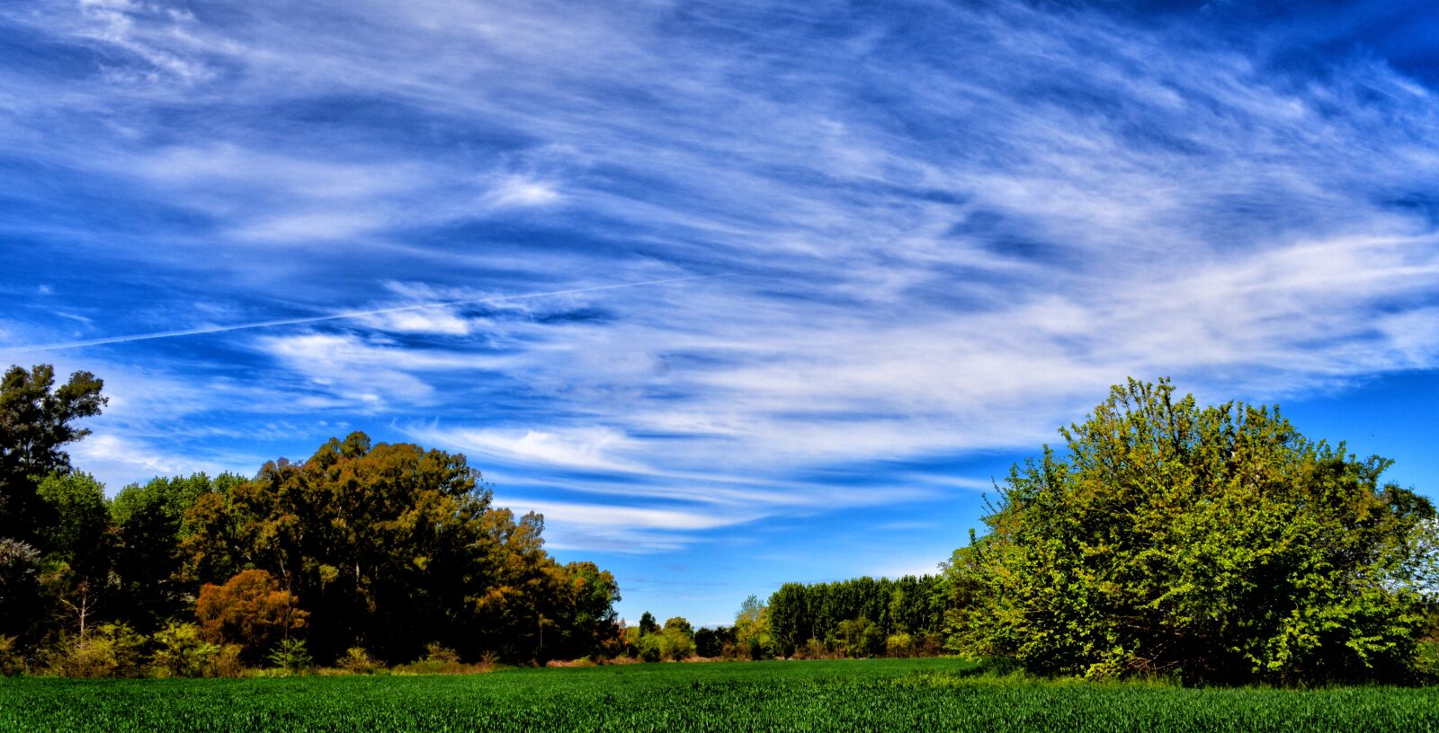 Nikon D5200 sample photo. Field, landscape, wheat photography