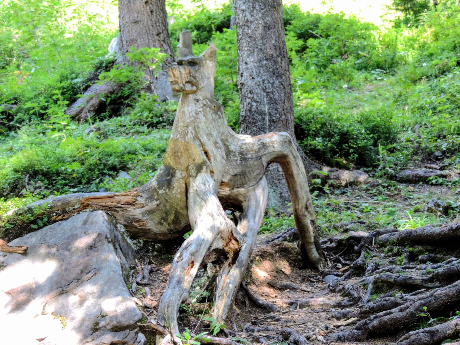 Nikon Coolpix P520 sample photo. Wood, bl mlisalph tte photography