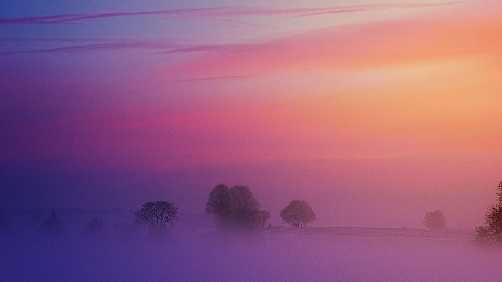 Sony a7 + Sony DT 50mm F1.8 SAM sample photo. Sunset, dusk, dawn photography