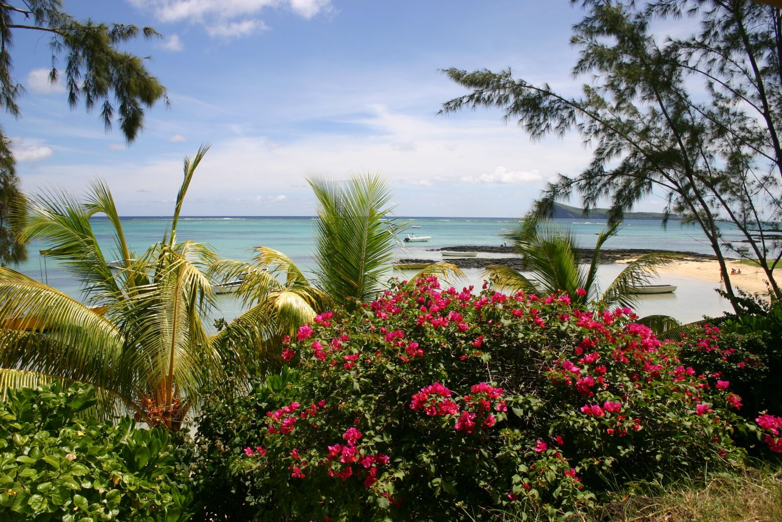 Canon EOS 300D (EOS Digital Rebel / EOS Kiss Digital) sample photo. Mauritius, beach, palm trees photography