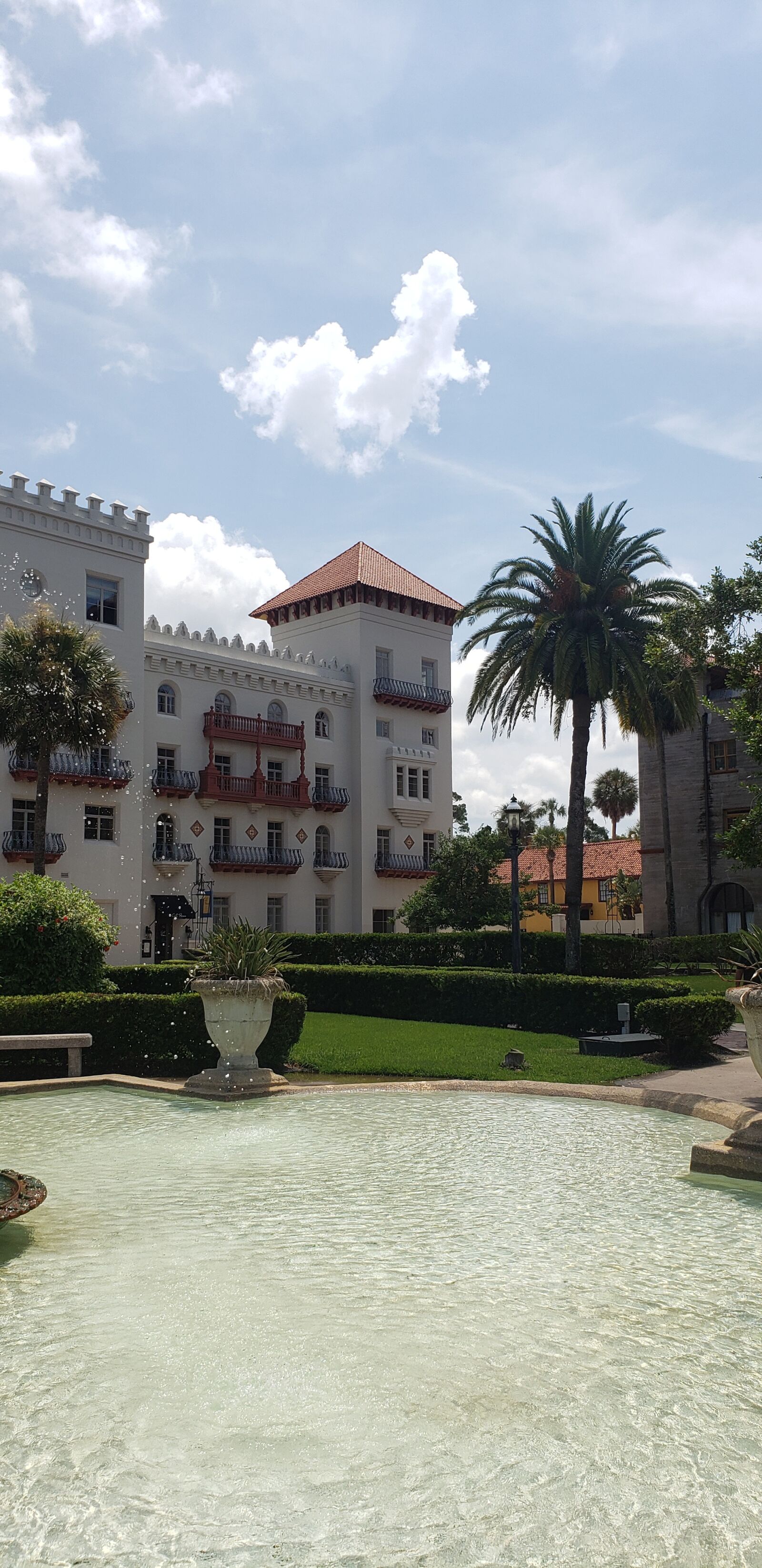 Samsung Galaxy Note9 sample photo. Florida, st augustine, palm photography